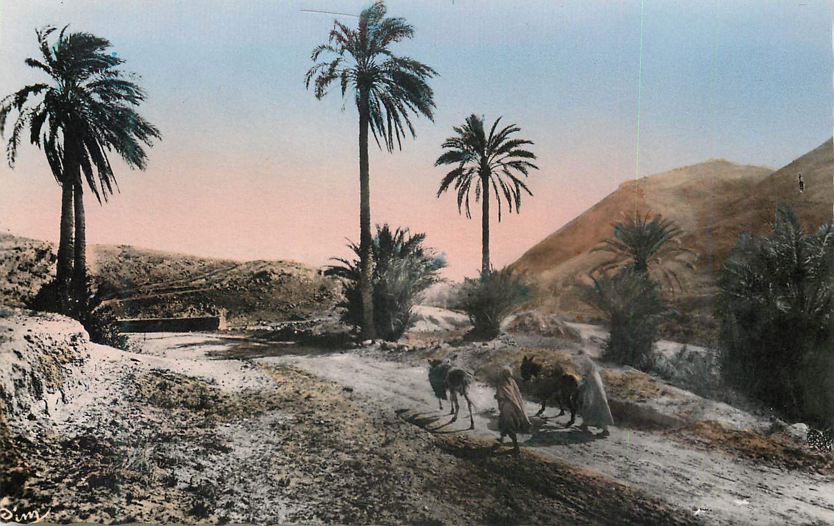 CPM Scenes et types du Maroc Types du Sud Sur la Piste 