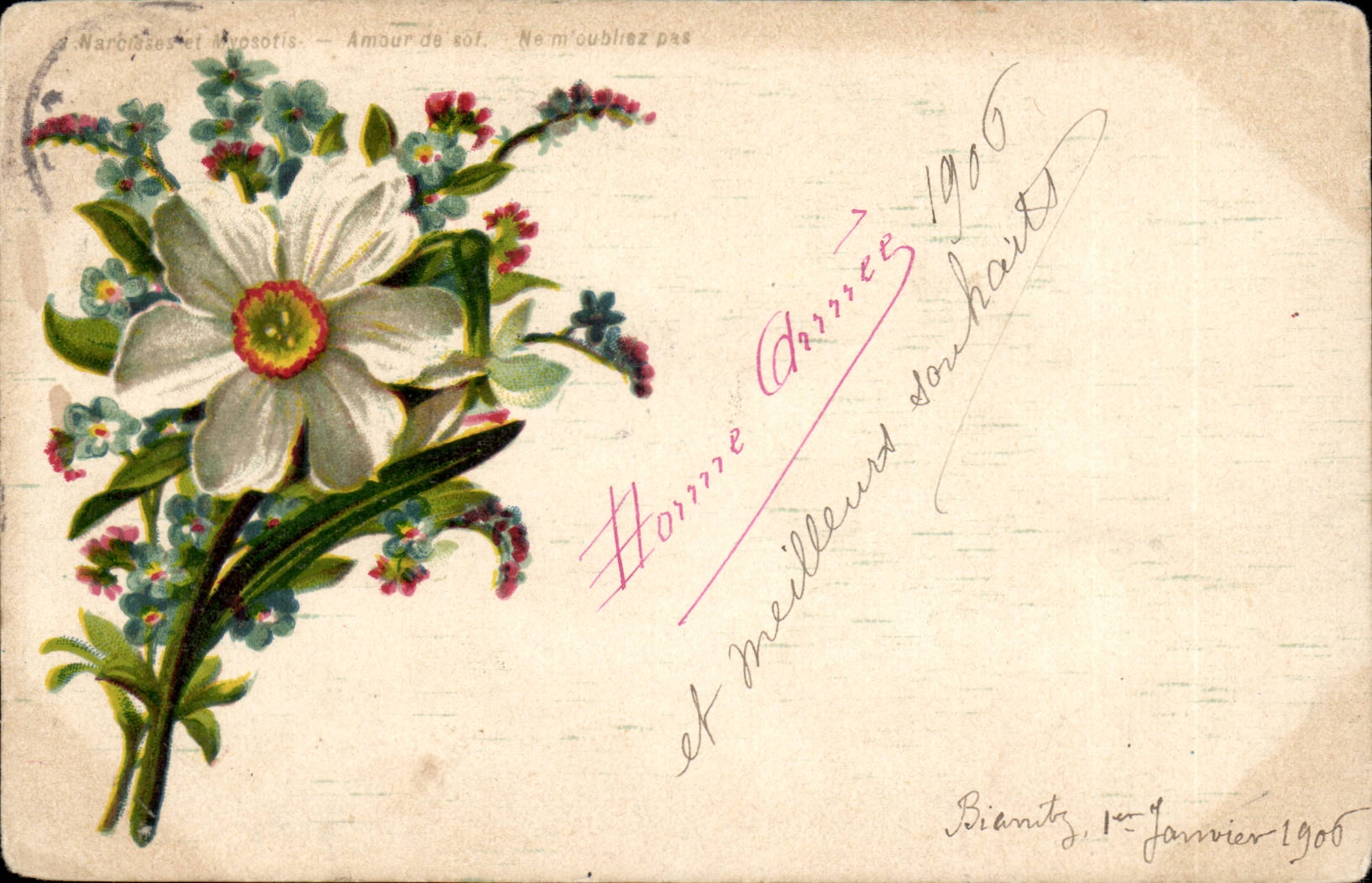 CPA Fantasy Flowers Happy New Year Narcissses and forget-me-not