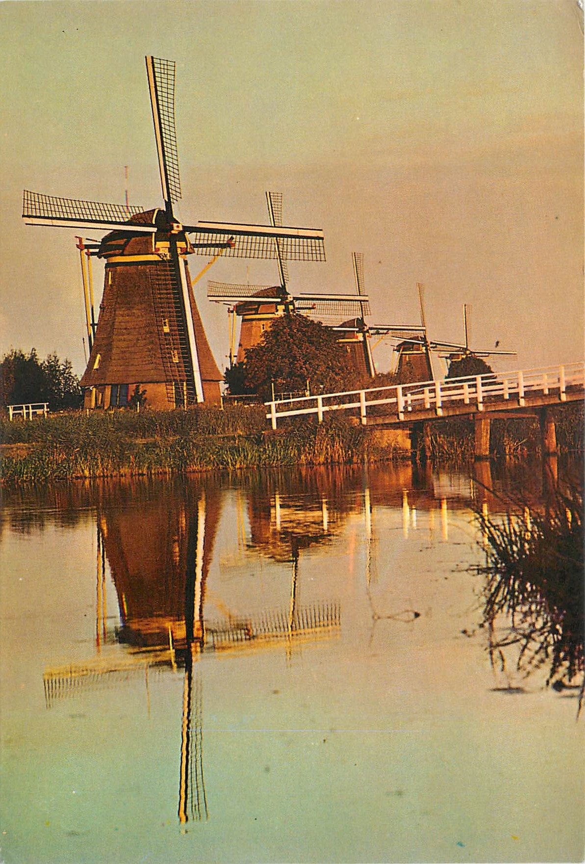 CPM Dutch Windmill Kinderdijk Moulin a vent