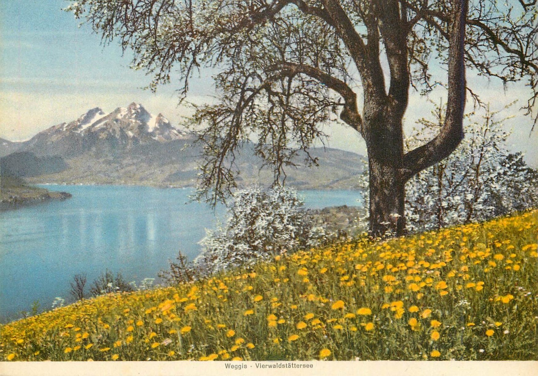 CPM Weggis Vierwaldstattersee