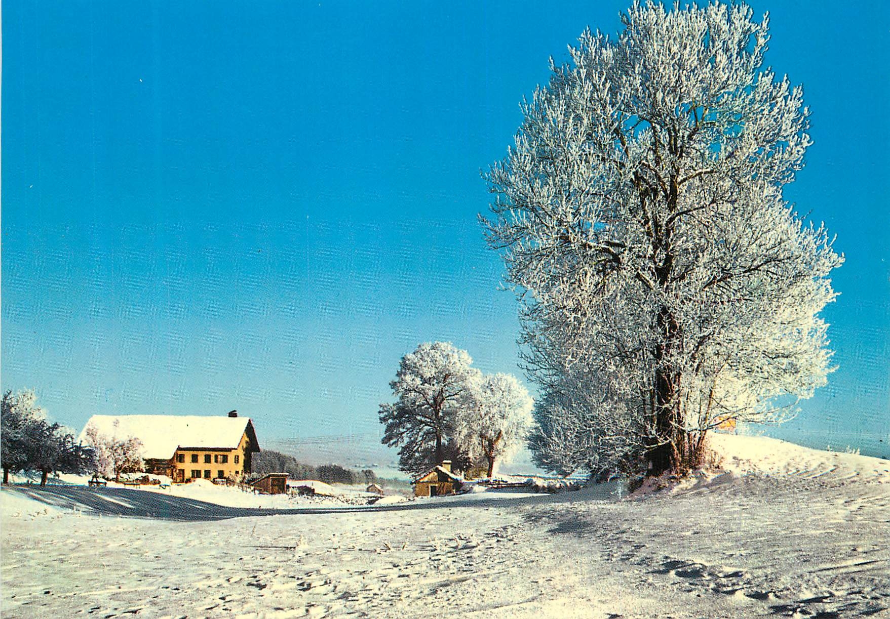 CPM Schweiz Winter Landschaft