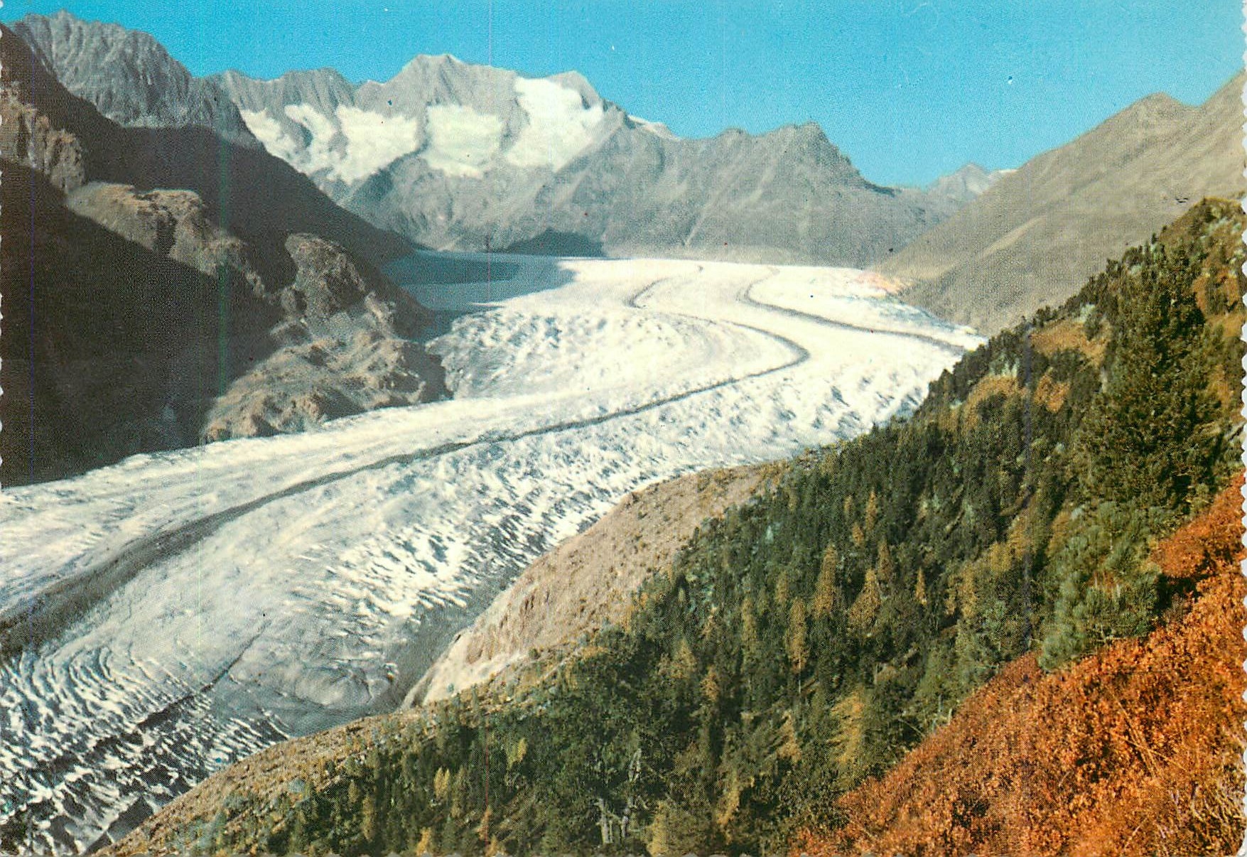 CPM Switzerland Aletsch wood and Aletsch glacier