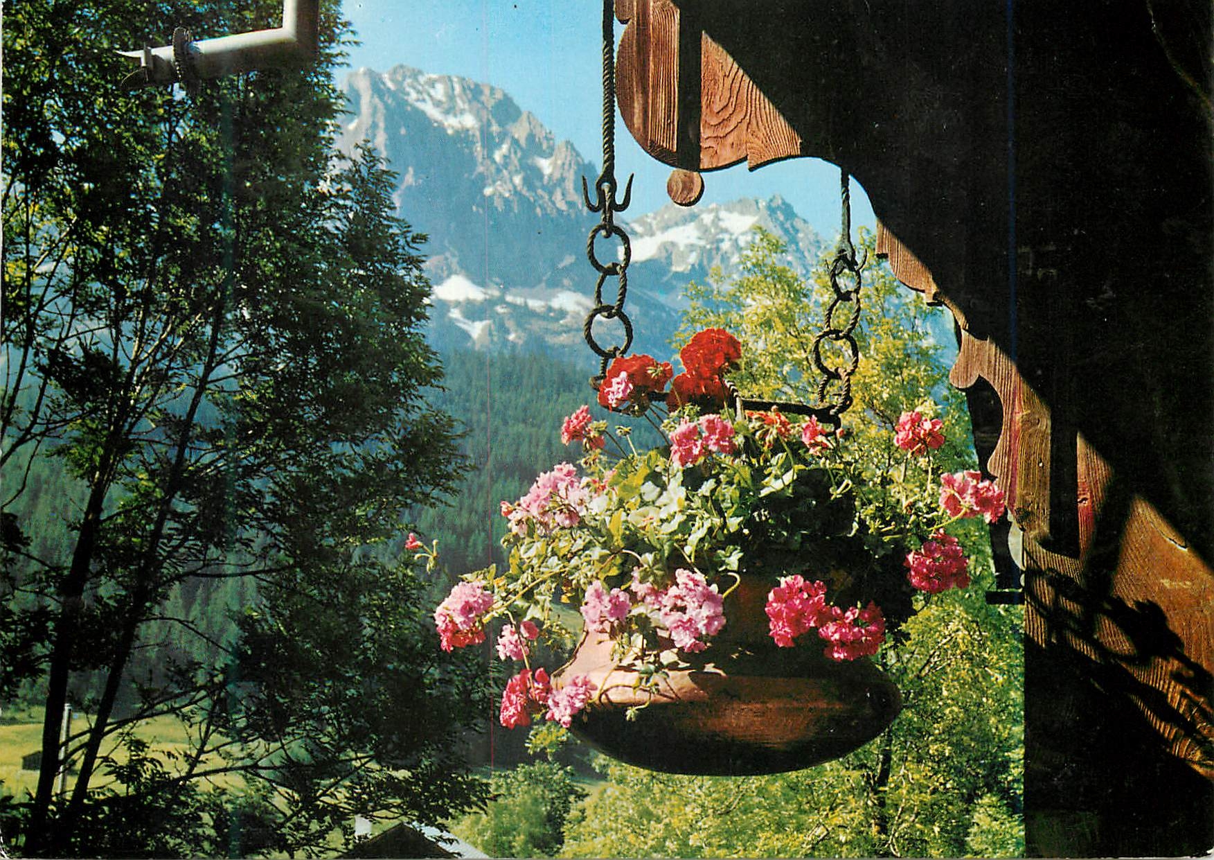 CPM Souvenir de Suisse