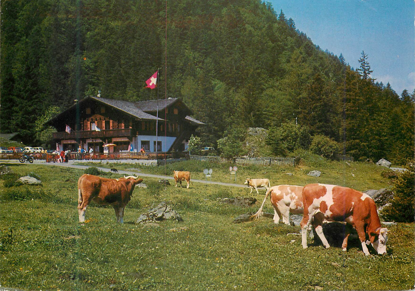 CPA Suisse Auberge Communale de Pont de Nant Les Plains sur Bex