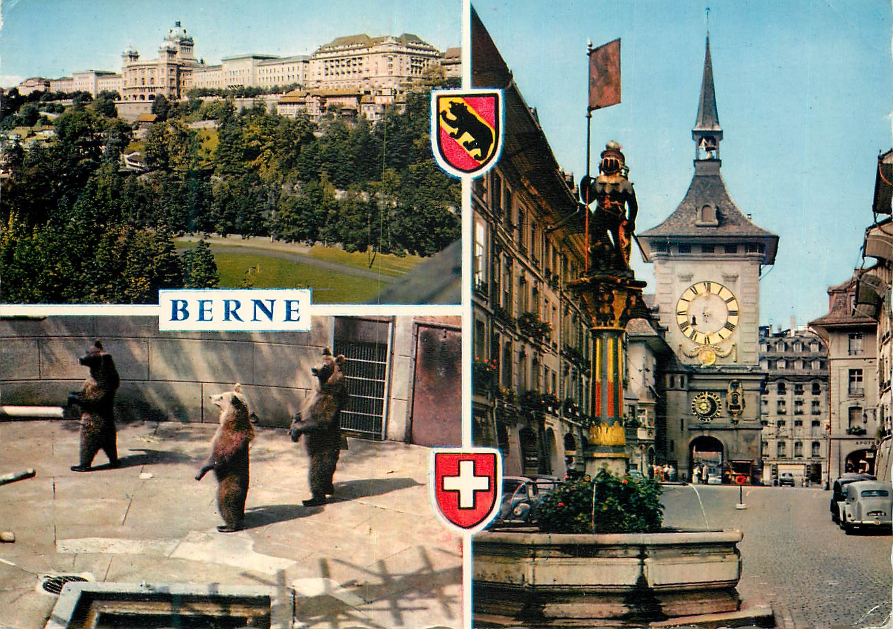 CPM Berne Ours