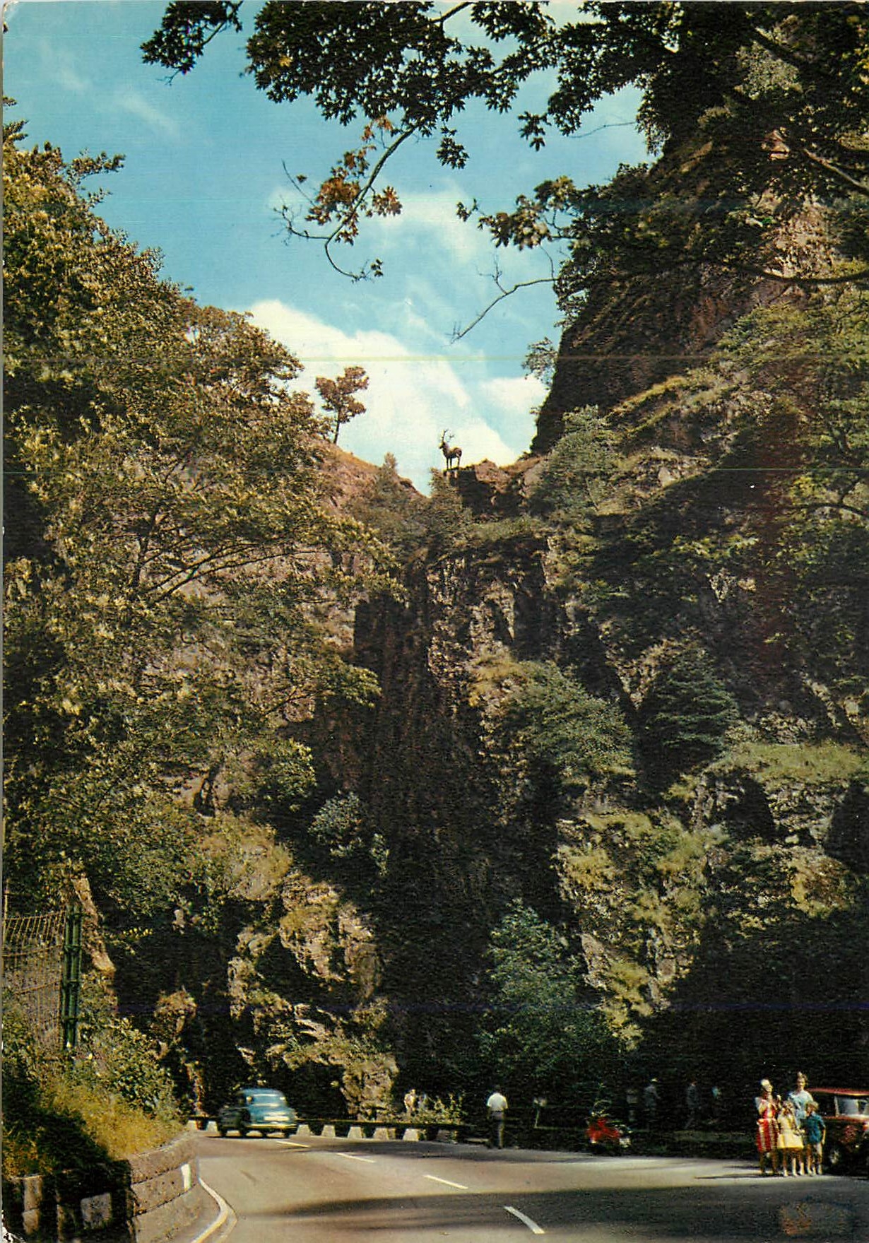 CPM Le Saut du Cerf