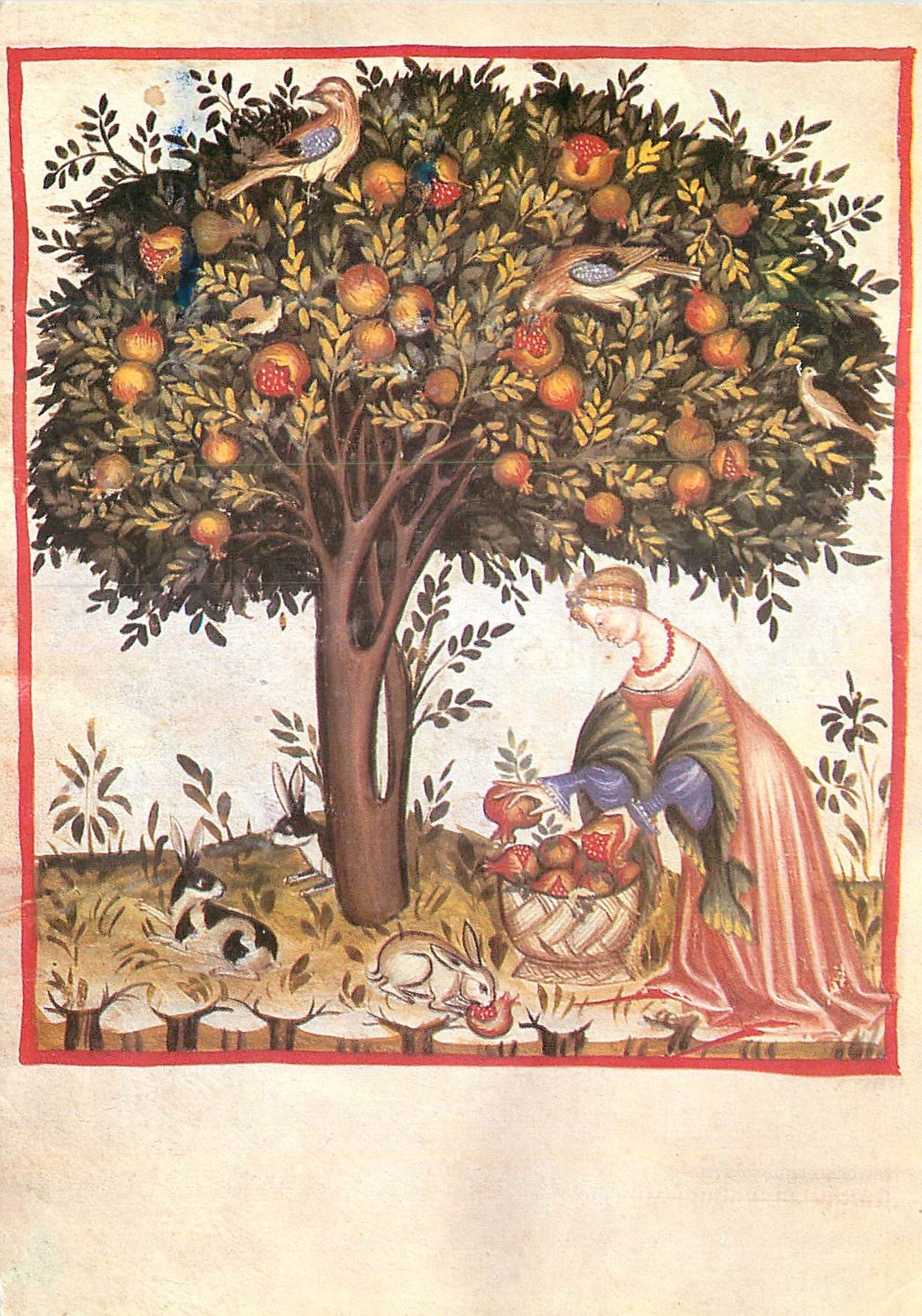 CPM Tree-Birds-Animals-Human