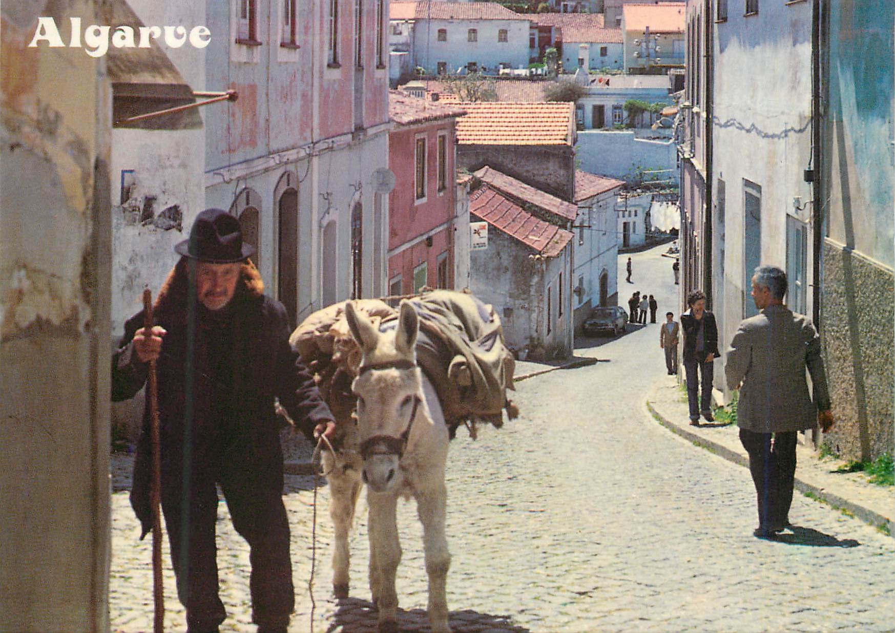 CPM Old man in Algarve Ane Donkey