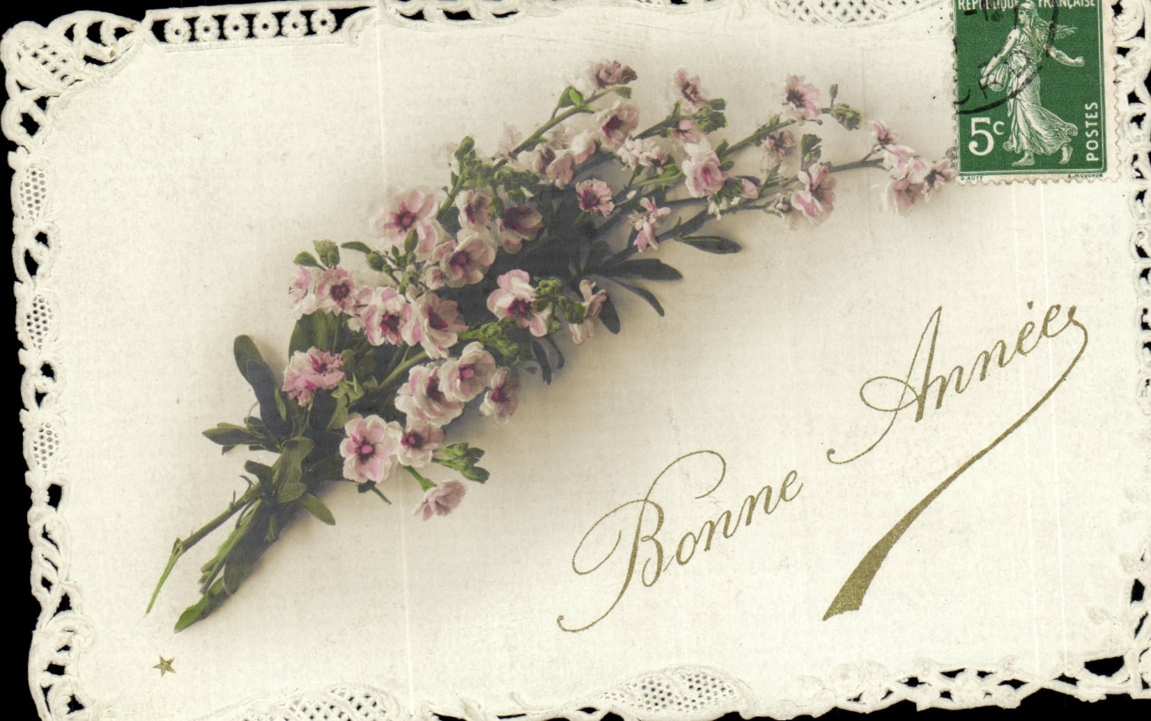 CPA Fantasy Good chart chart embroiders superb