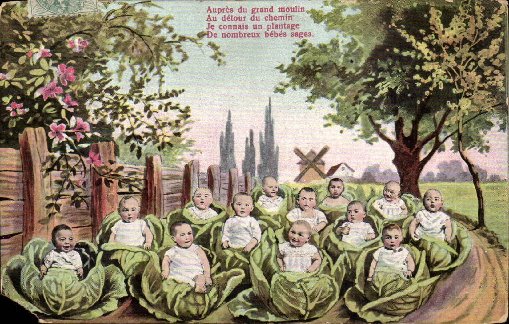 CPA Fantasy Babies in cabbages