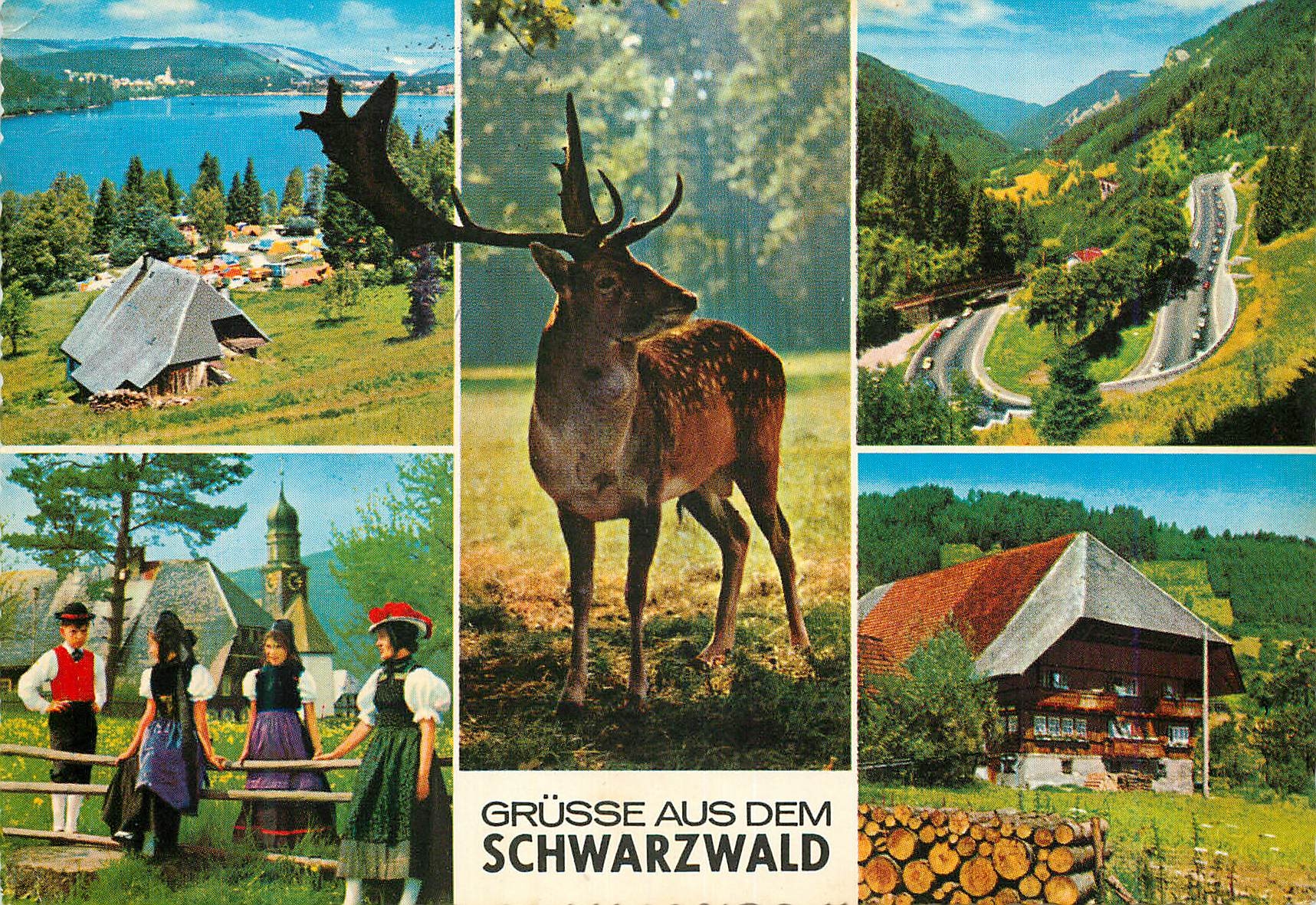 CPM Schwarzwald Panorama