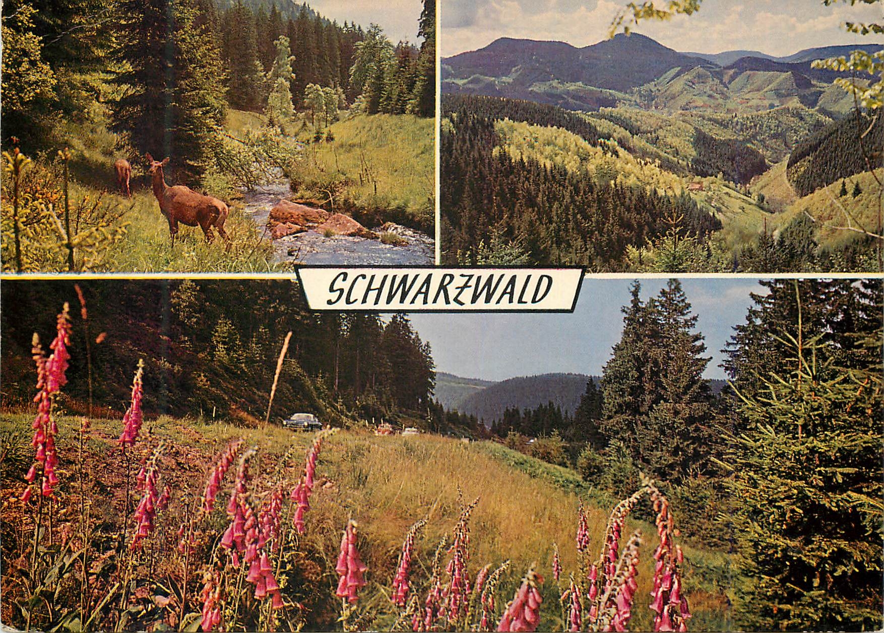 CPM Schwarzwald Foret Noire