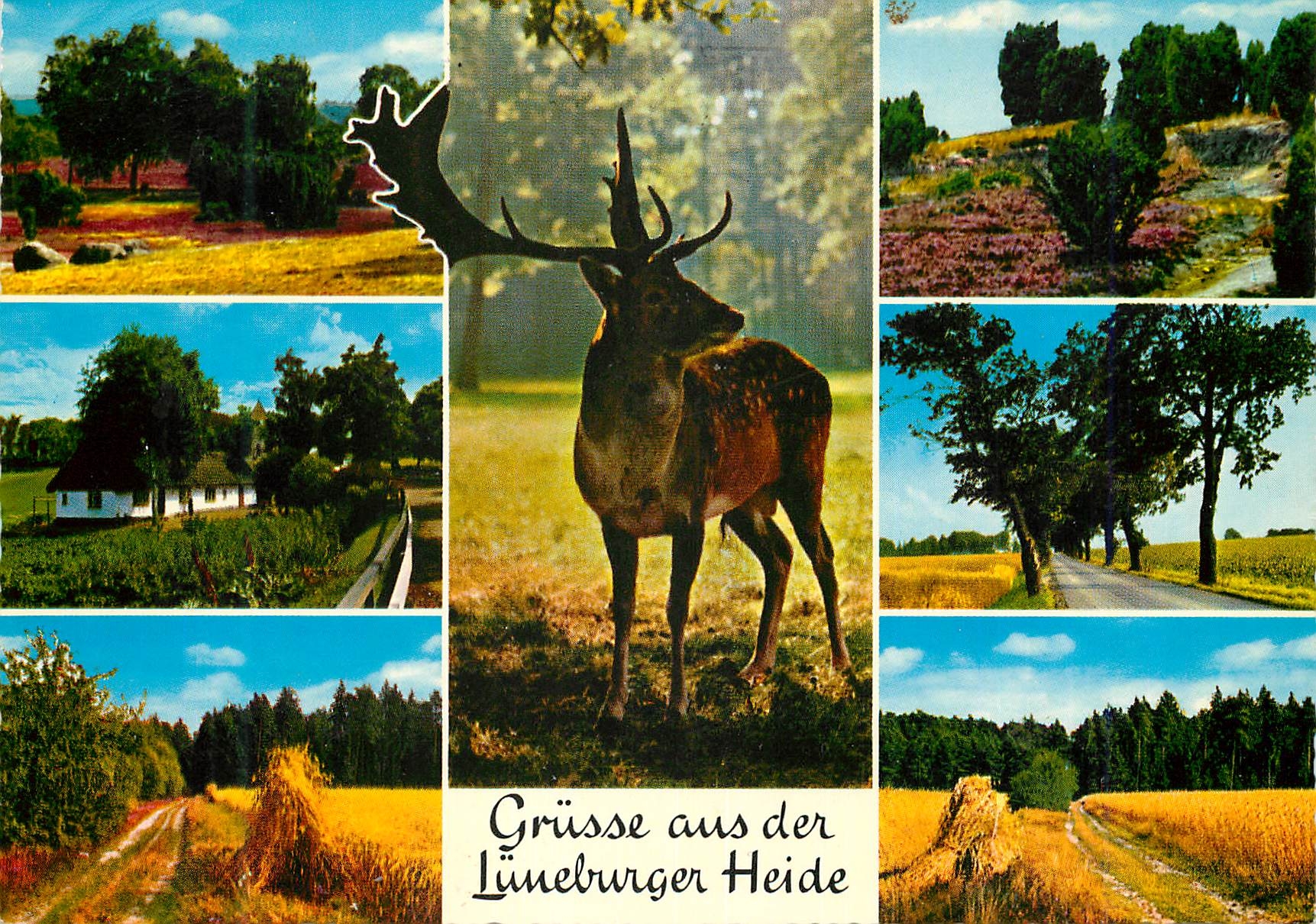 CPM Luneburger Heide