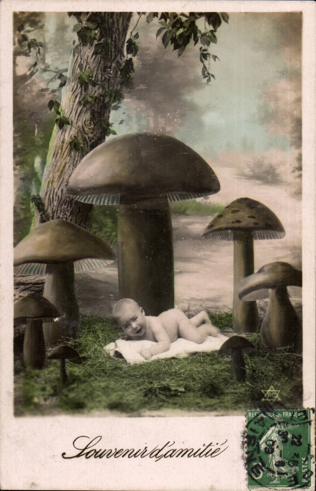 CPA Fantasy Mushroom Mushrooms Baby