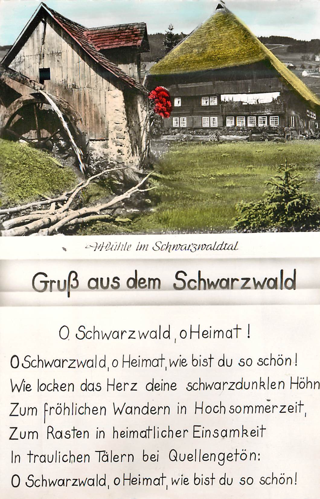 CPM Schwarzwald