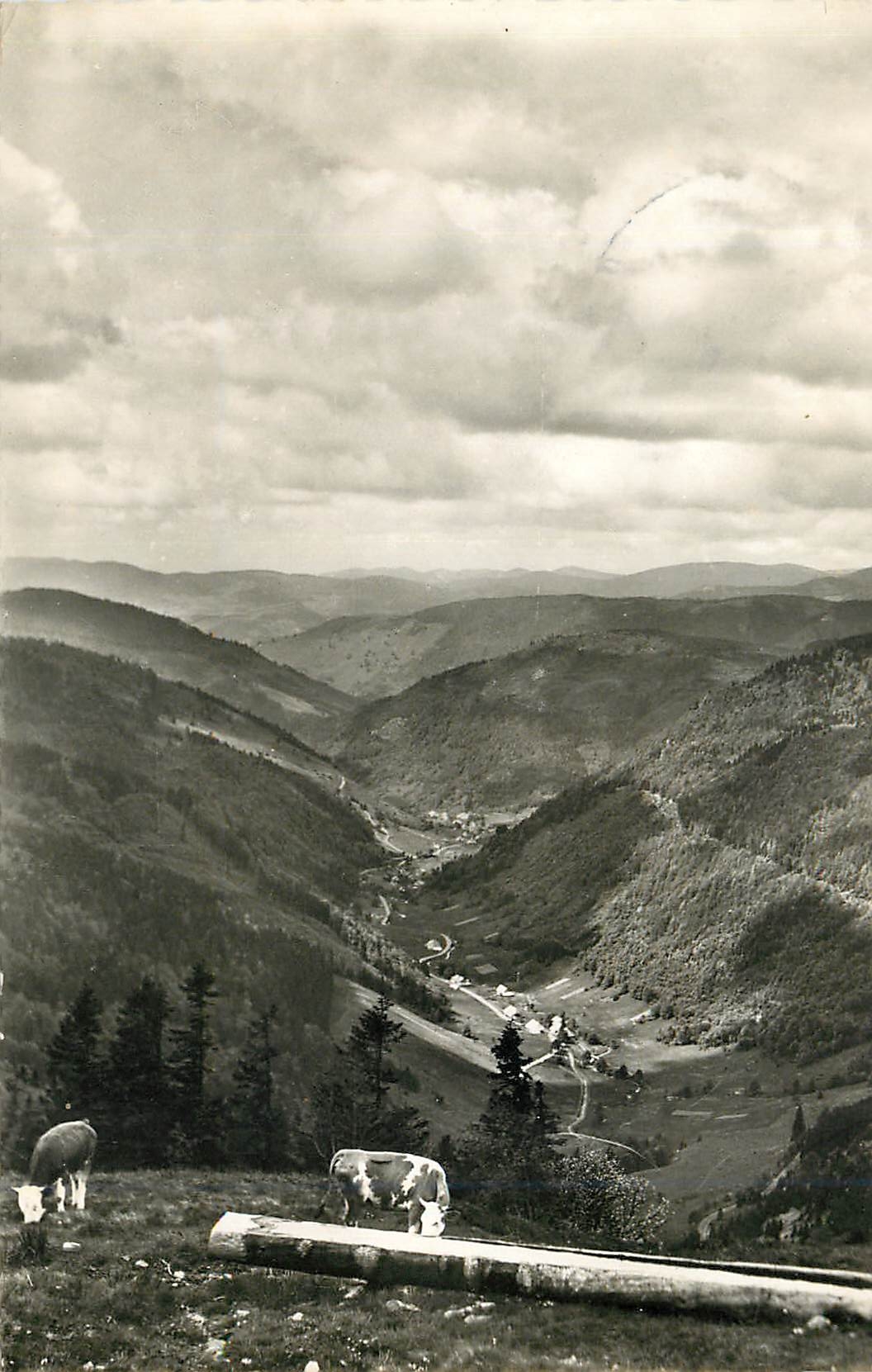 CPM Feldberg Schwarzwald Wiesetalblick