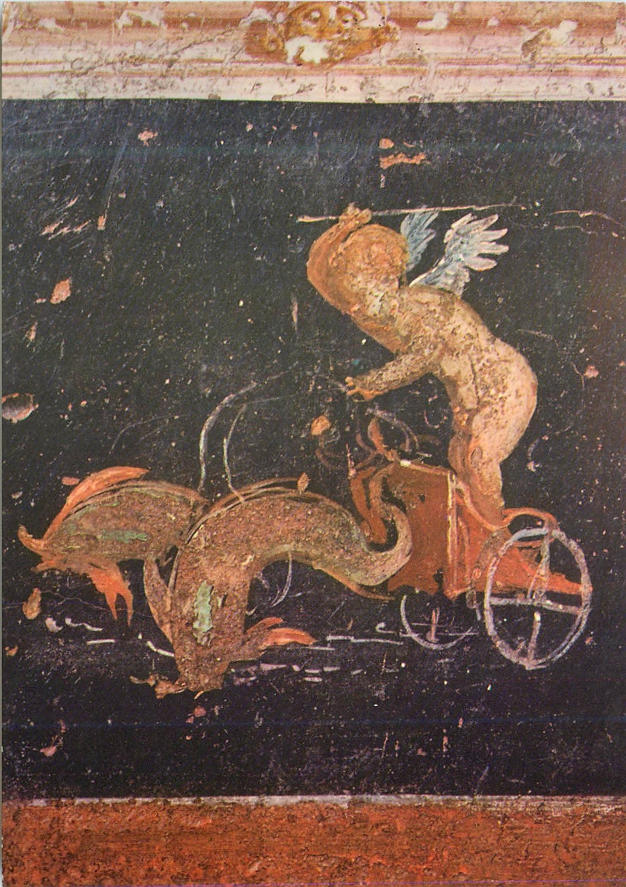 CPM Pompei Scavi - Casa dei Vetti - Amorino che guida due delfini mosaic