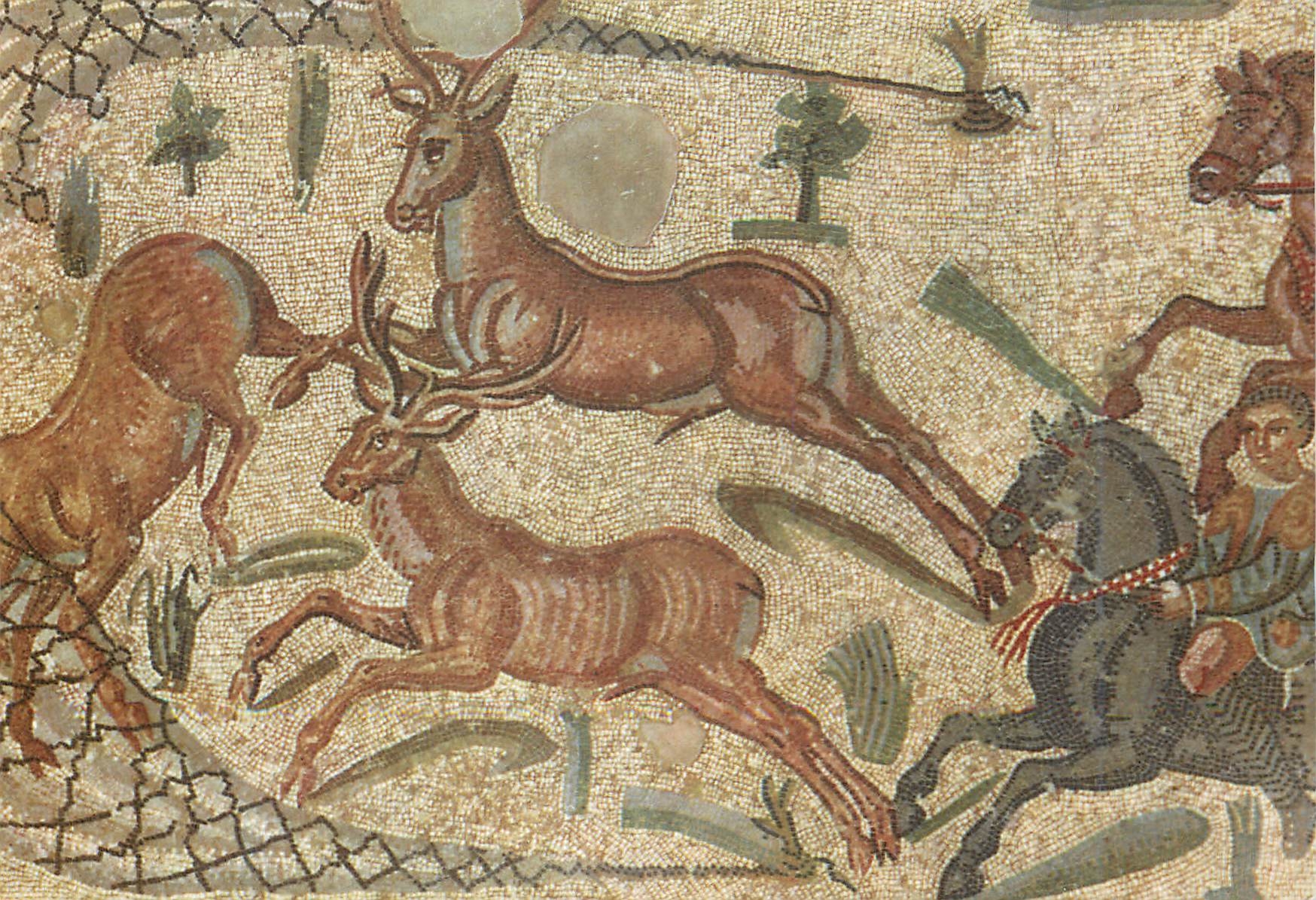 CPM Ignoto - Ambulacro della Caccia Mosaic