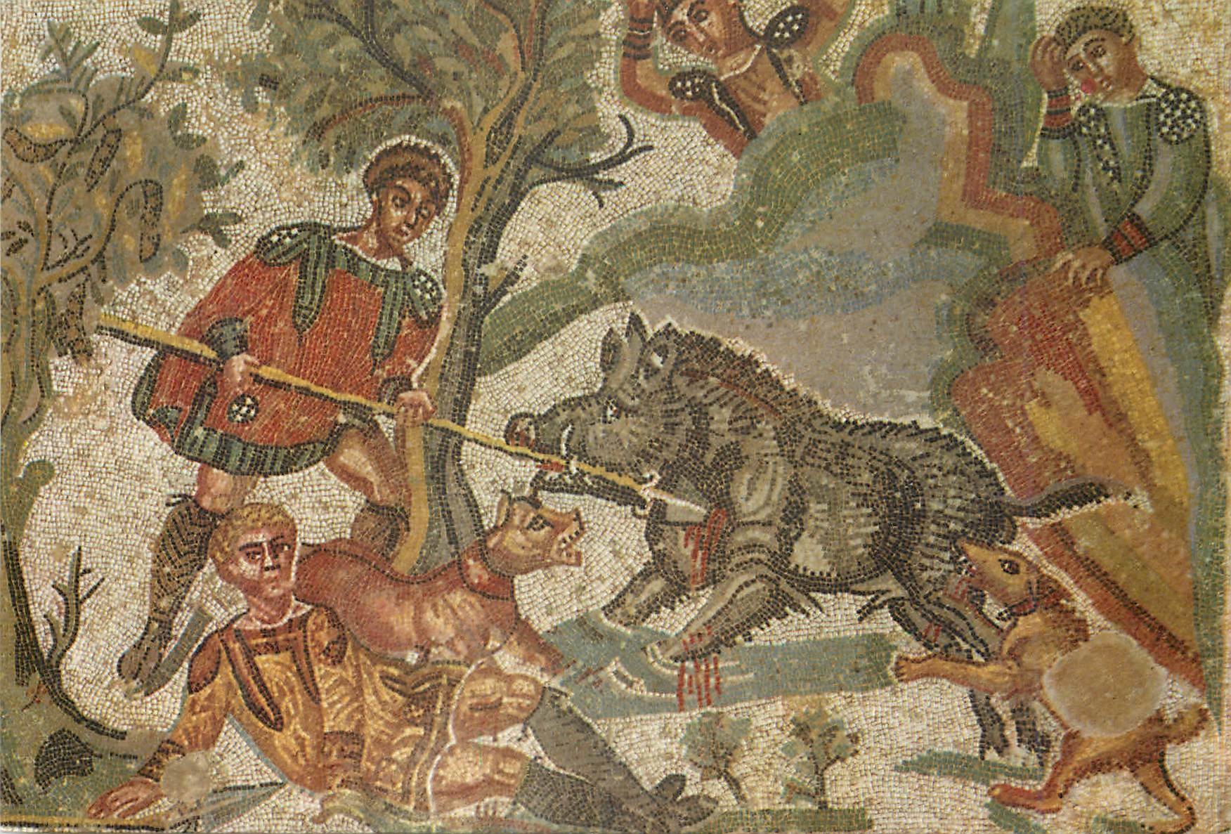 CPM Ignoto - Ambulacro della Caccia Mosaic Sanglier
