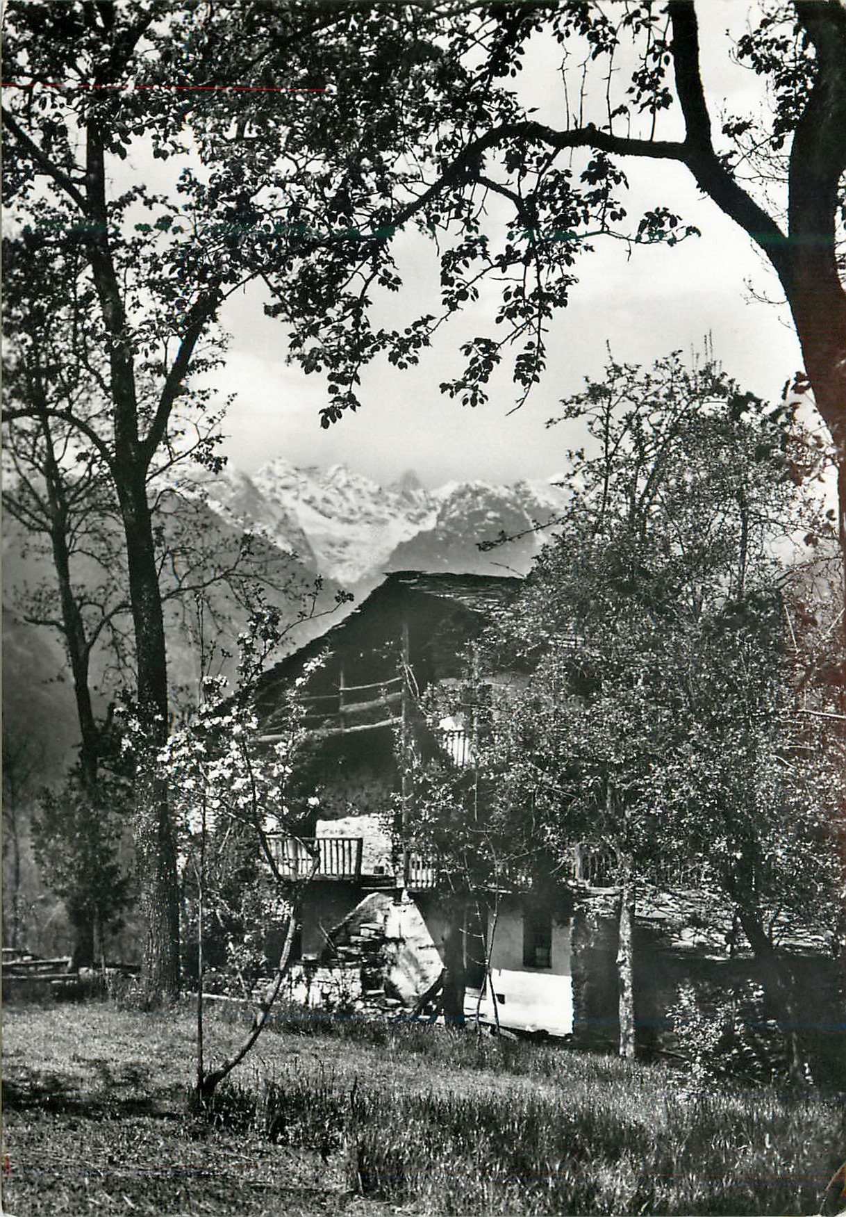 CPM A house in Torino