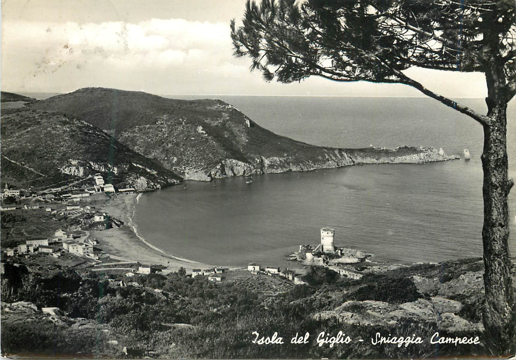 CPM Isola Del Giglio Plage du Comprese