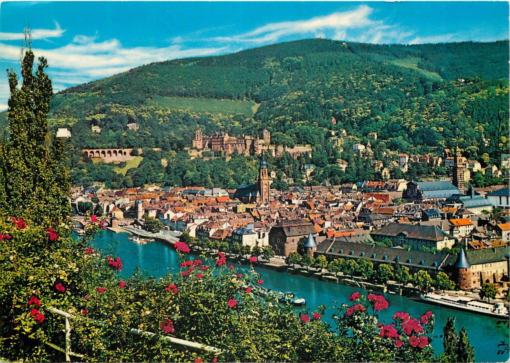 CPM Heidelberg Blick vom Philosophenweg
