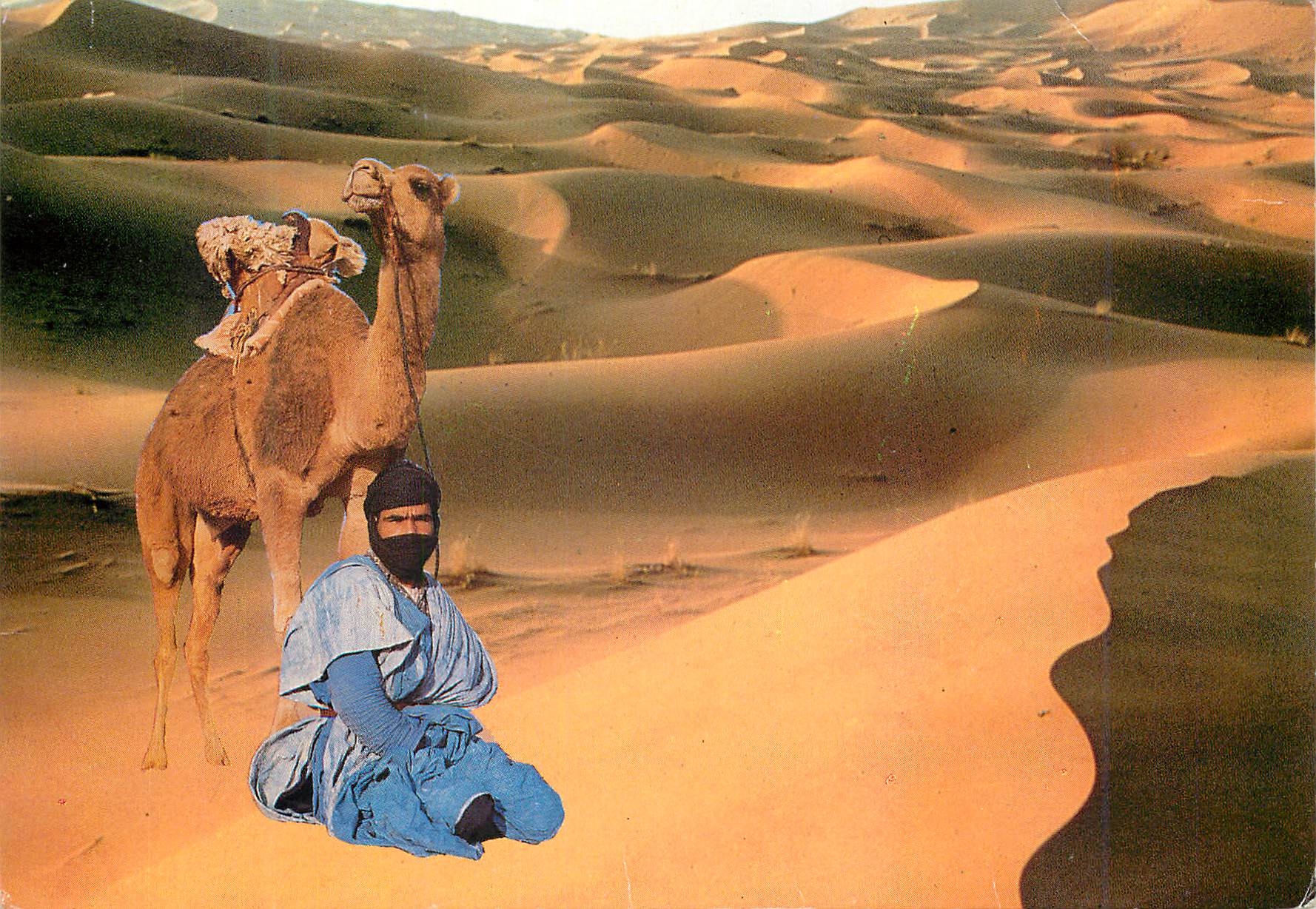 CPM Maroc infini dans l'immensite du desert l'homme et son compagno le dromadaire