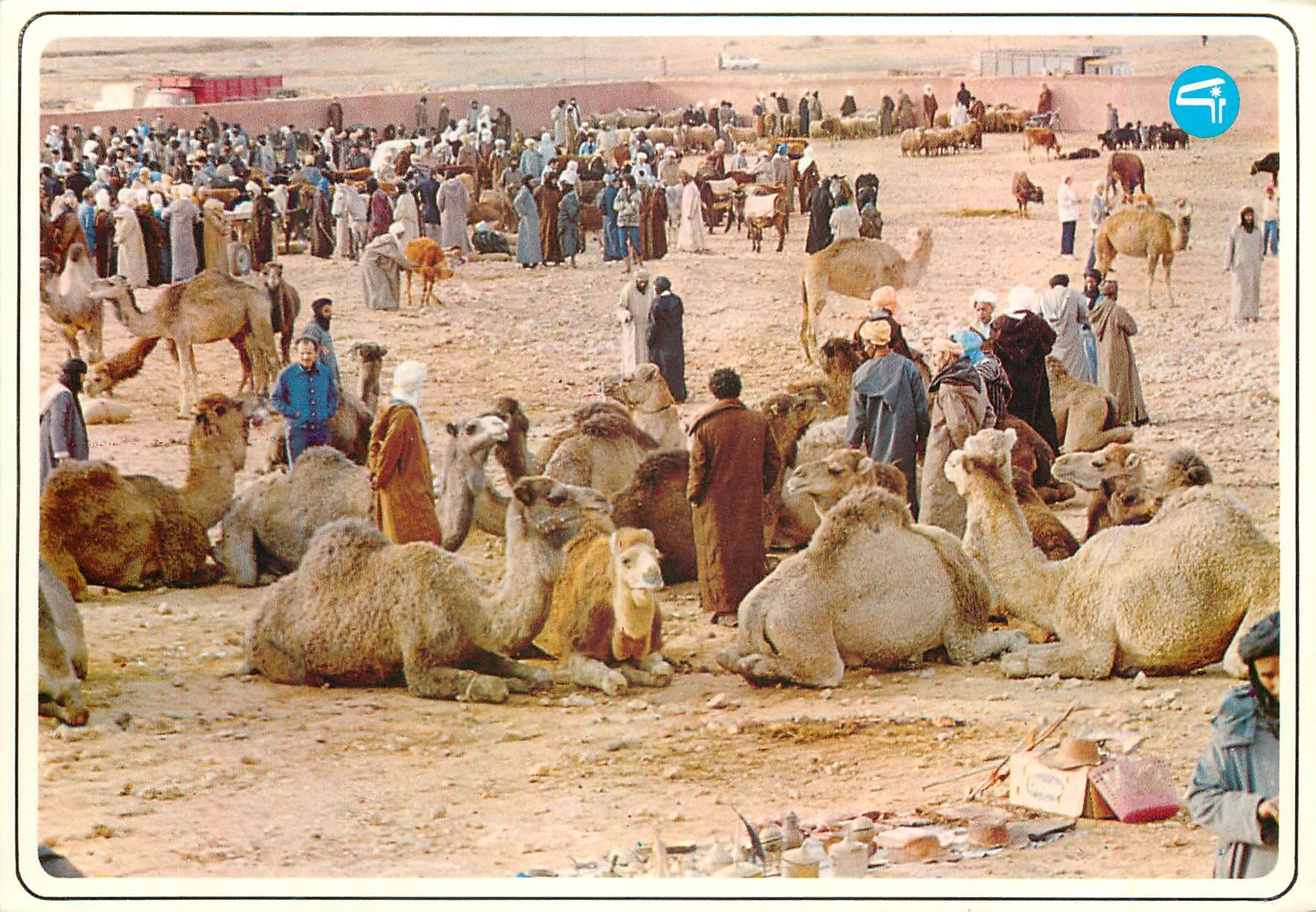 CPM Maroc typique