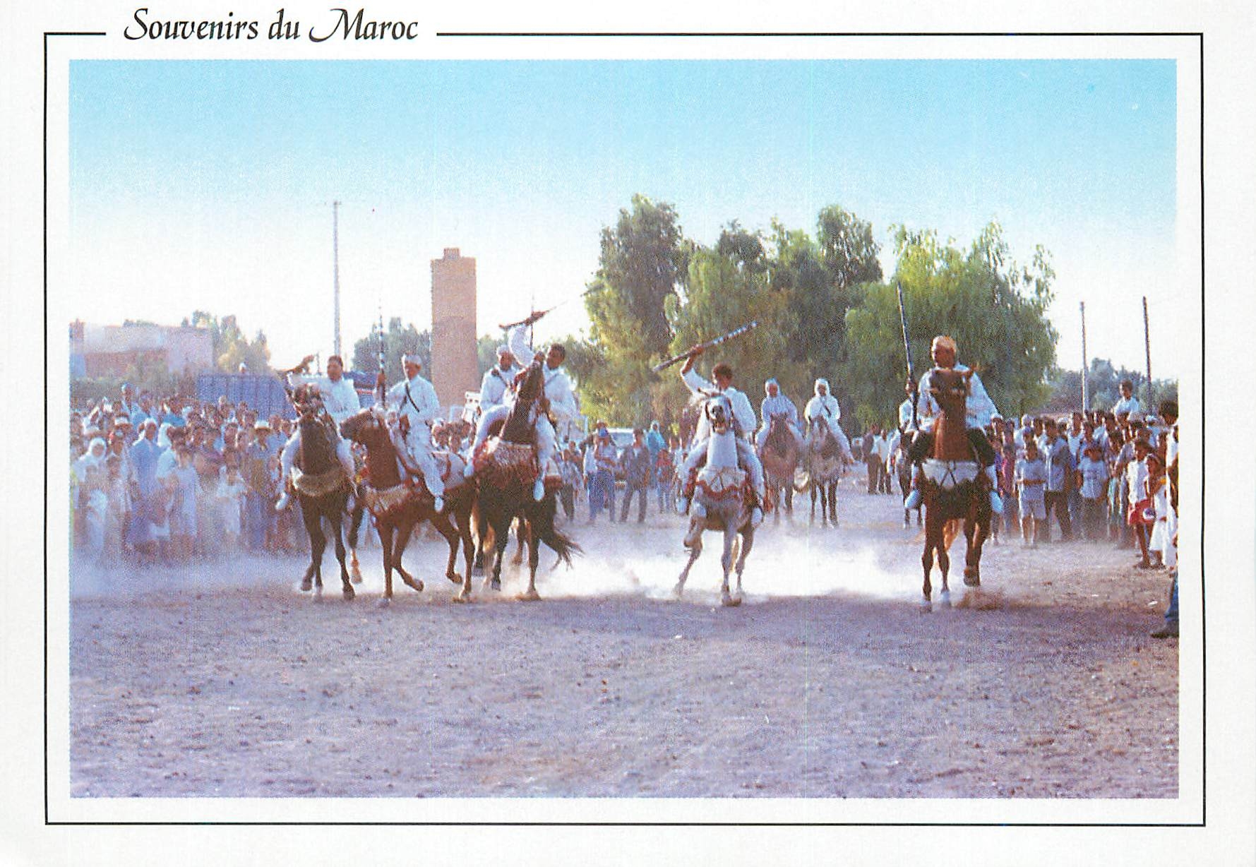 CPM Province du sud Chevaux Fantaisia