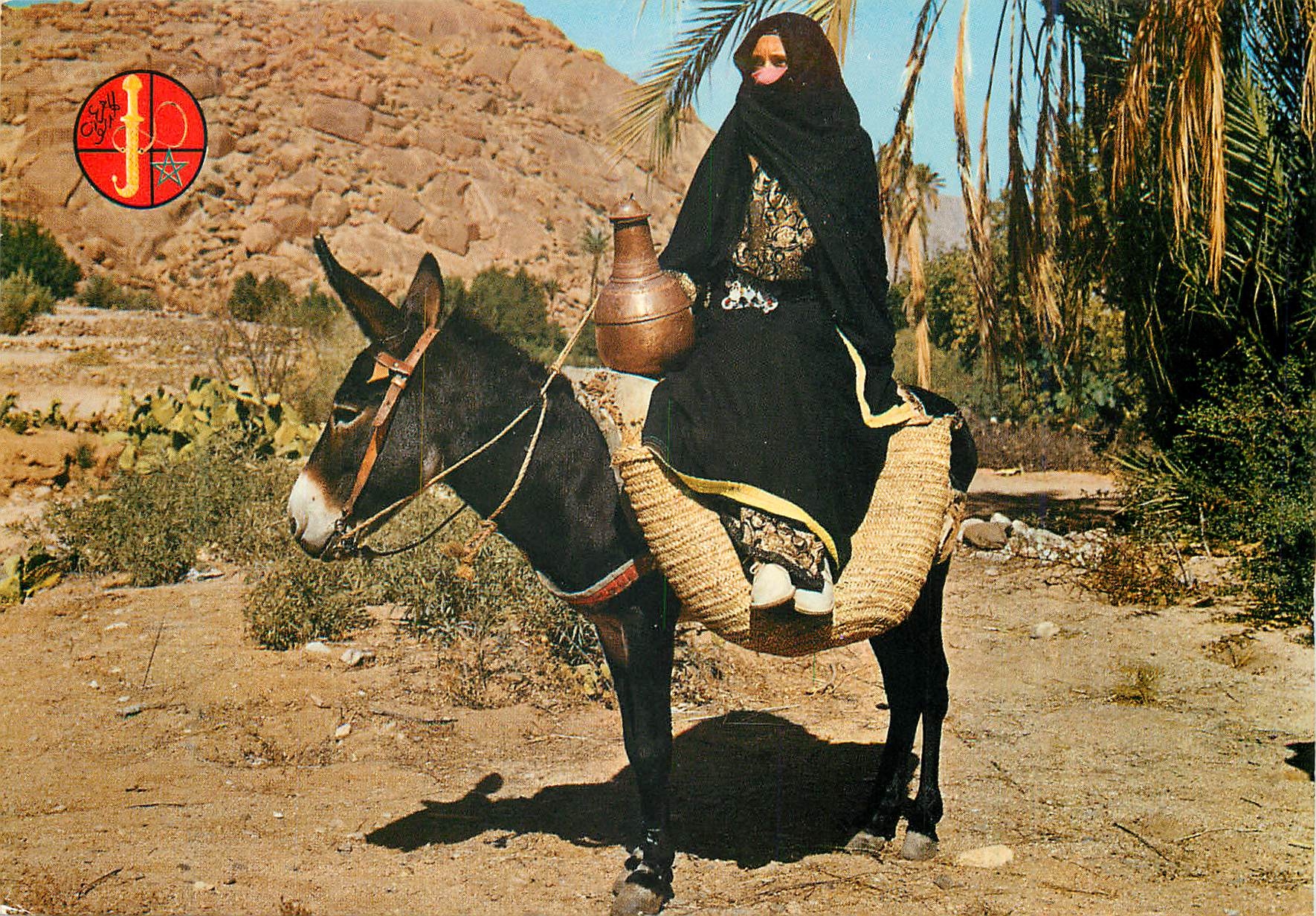 CPM dans le sud marocain Ane Donkey