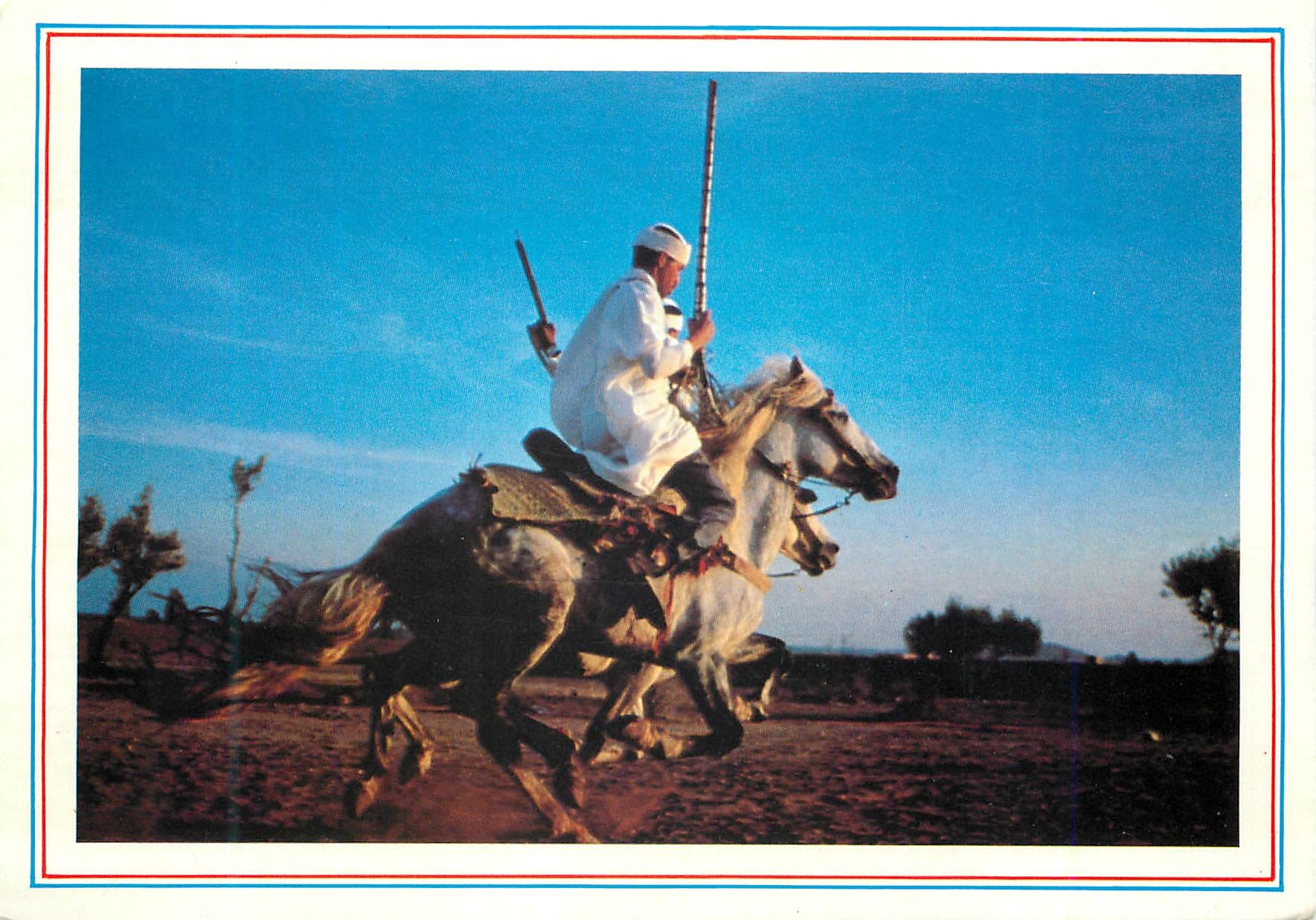 CPM Maroc fantasia
