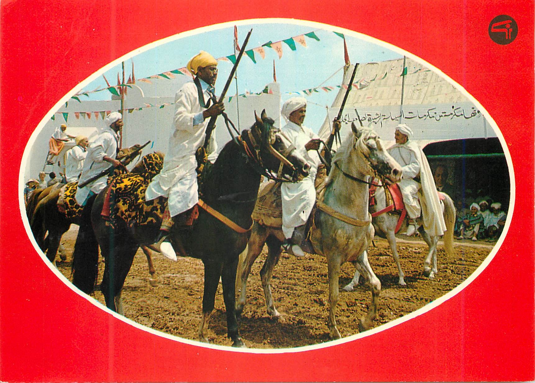 CPM Maroc typique Chevaux