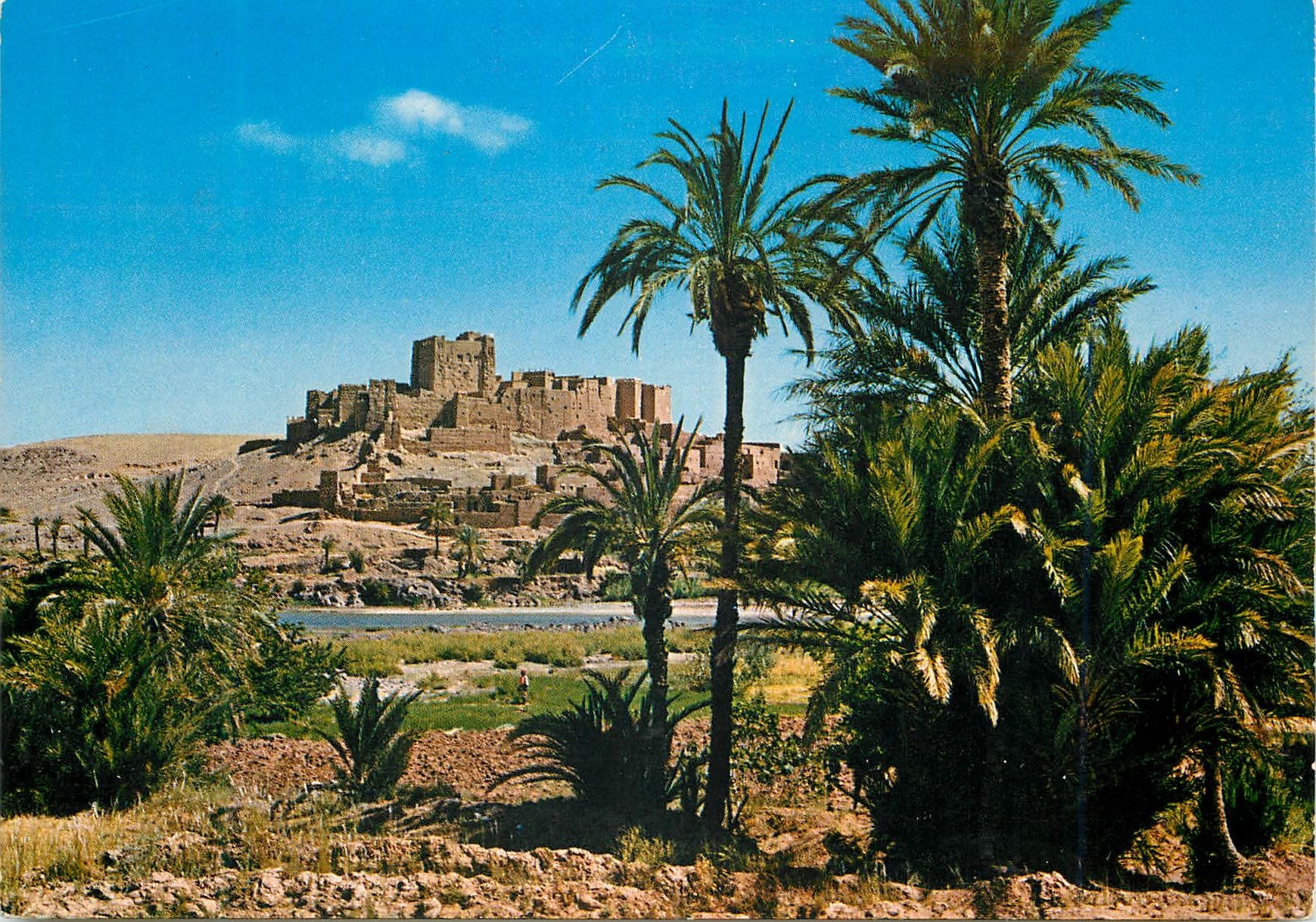 CPM Ouarzazate Zagora Kasbah de Tifoultout