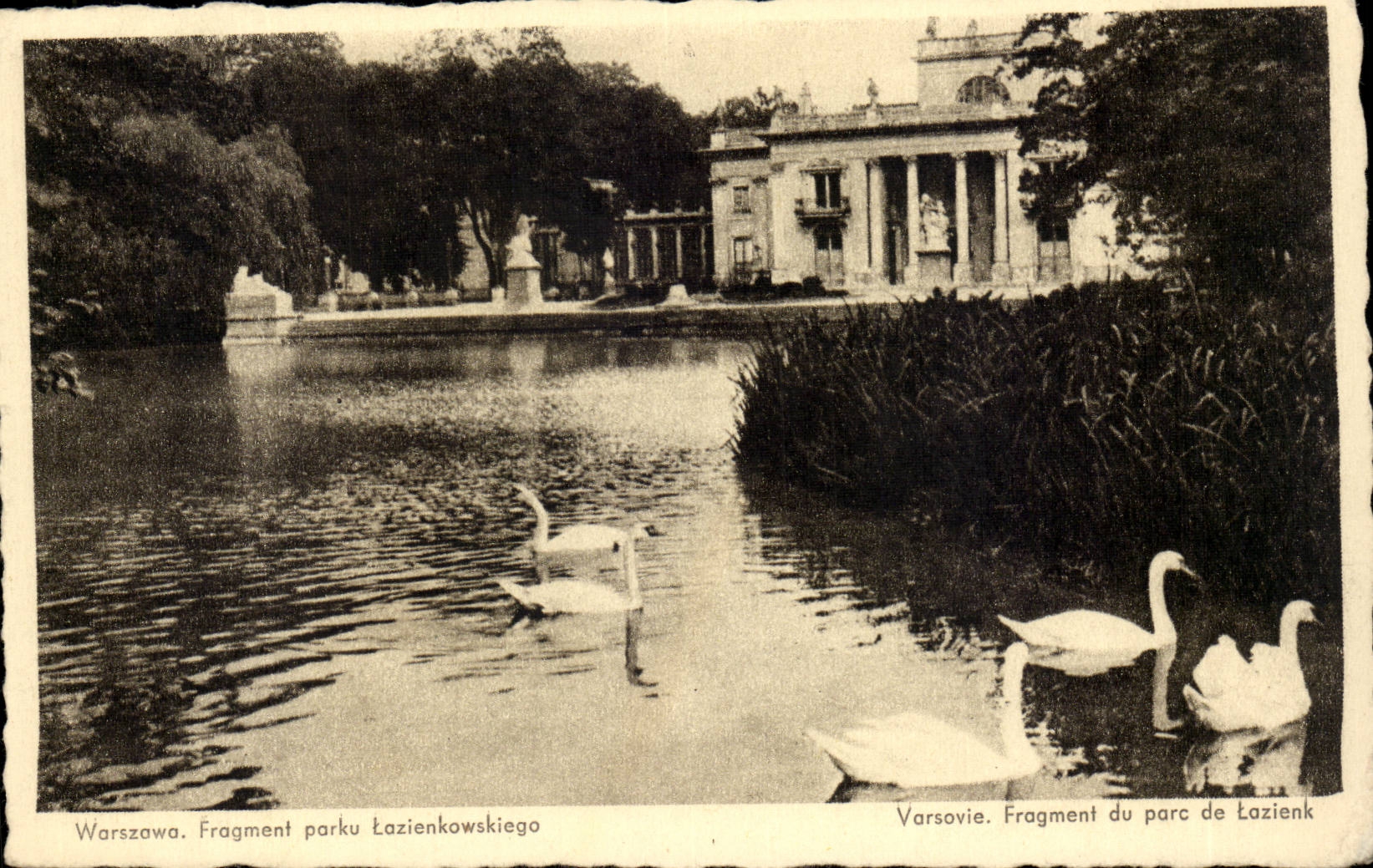 CPA Poland Poland Fragment parku Lazienkowkiego