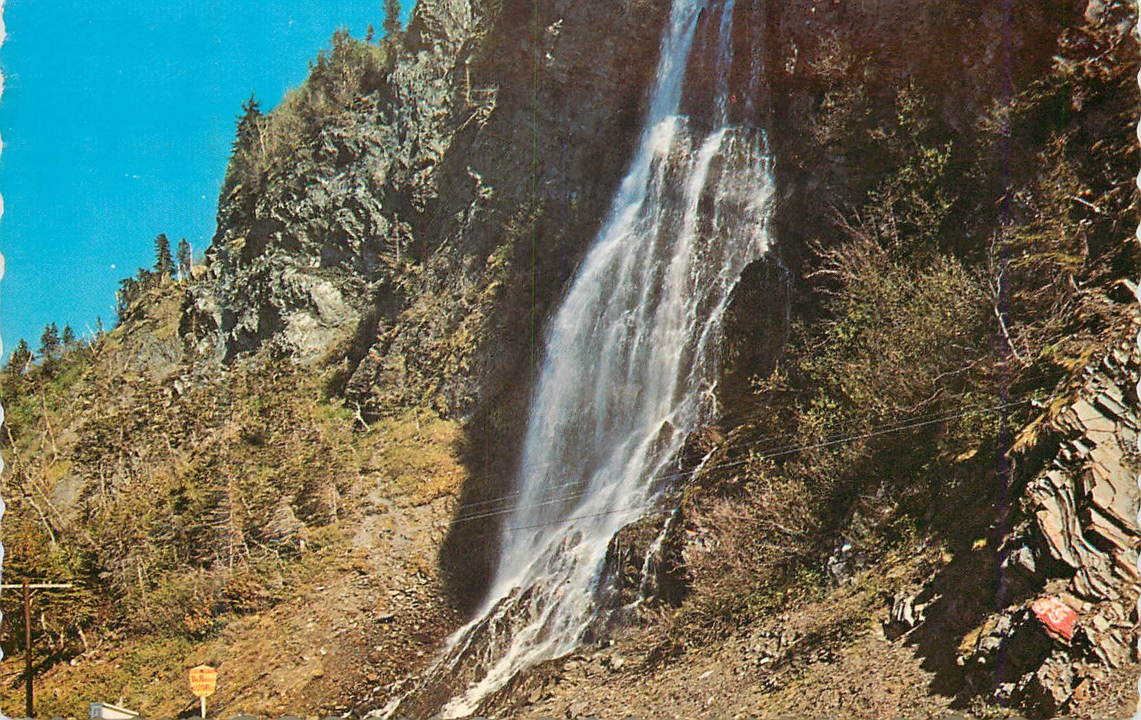 CPM Canada Quebec Magnifique vue du Ruisseau Sorel sur la route en Gaspesie