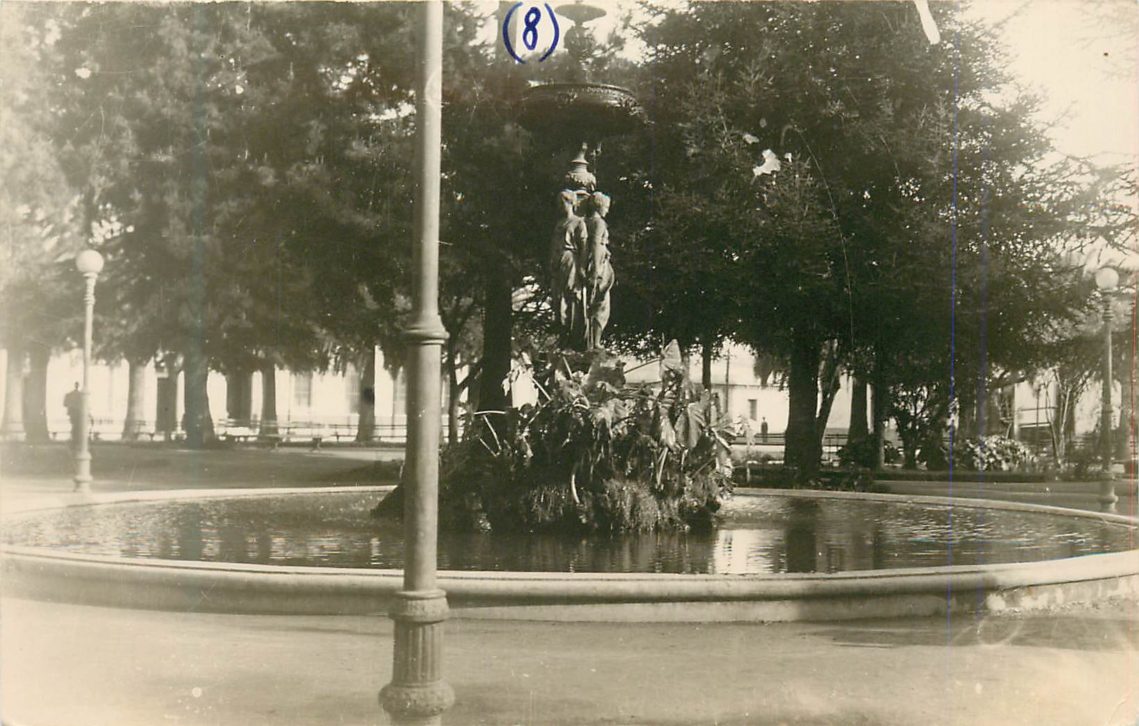 CARTE PHOTO 