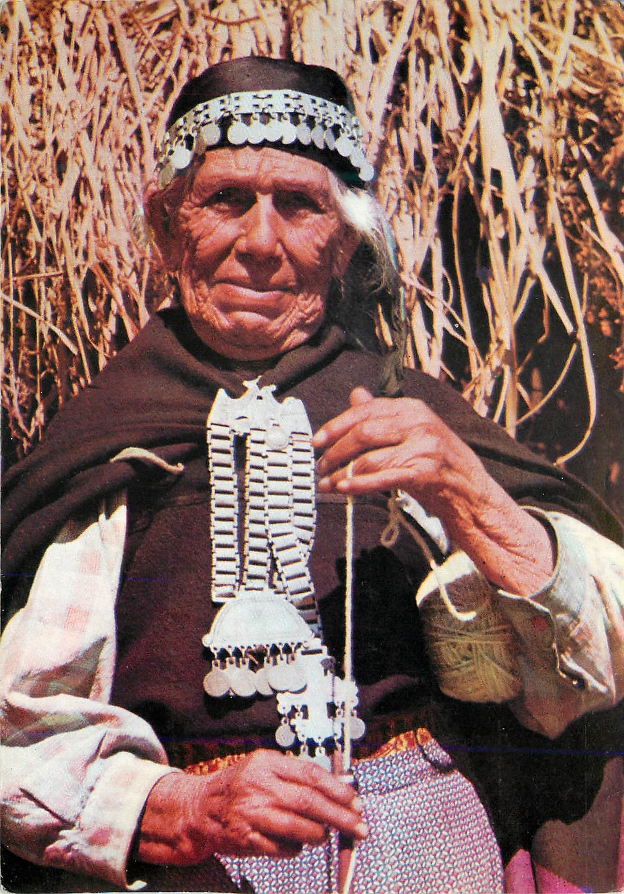 CPM Chile India Araucana