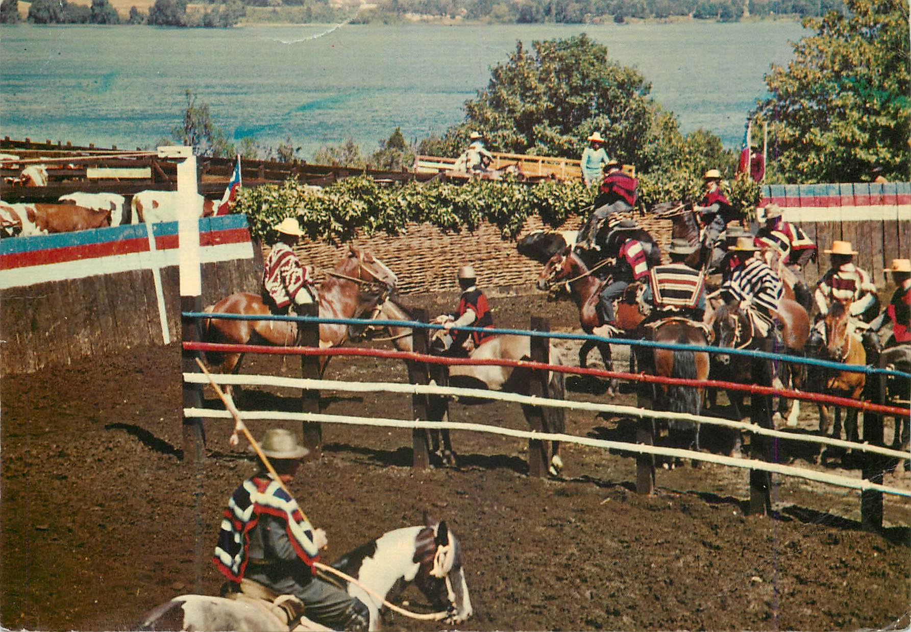 CPM Chile Rodeo Fiesta Chilena