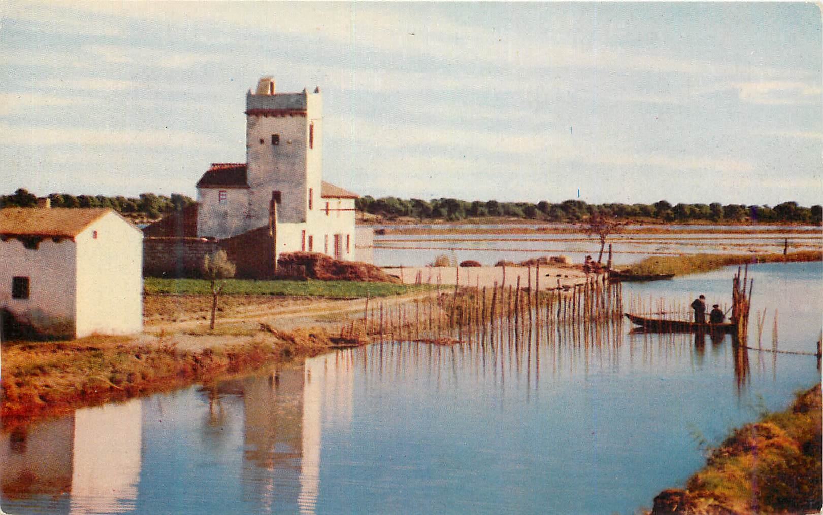CPM Valencia l'Albufera detail 