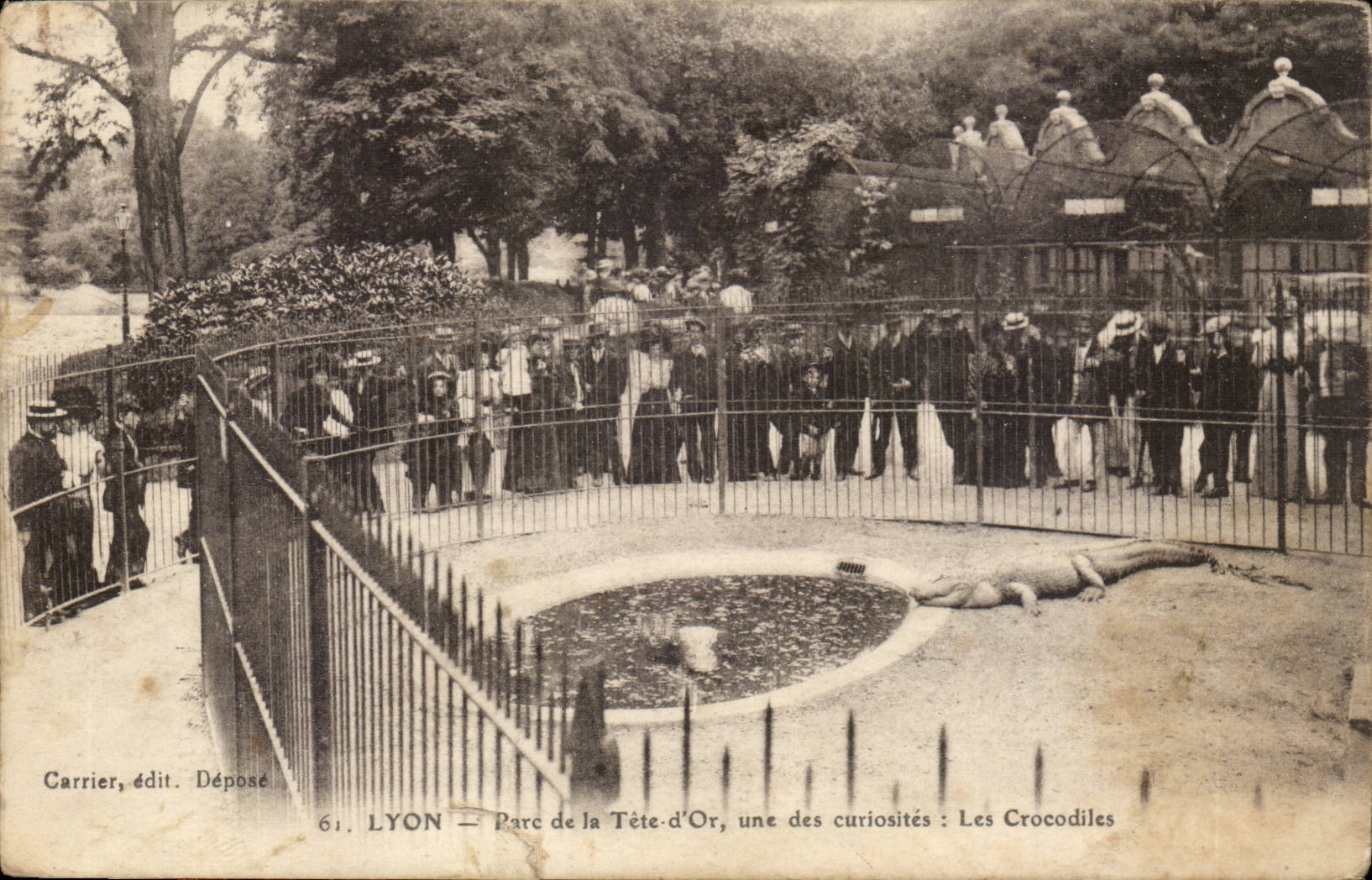 Lyon-Park des Goldkopfes einer der Kuriositaten Krokodile - CPA