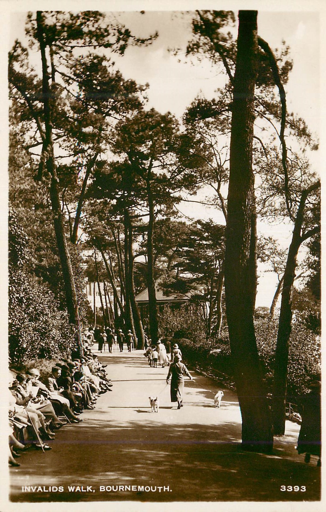 CPM Invalid walk Bournemouth