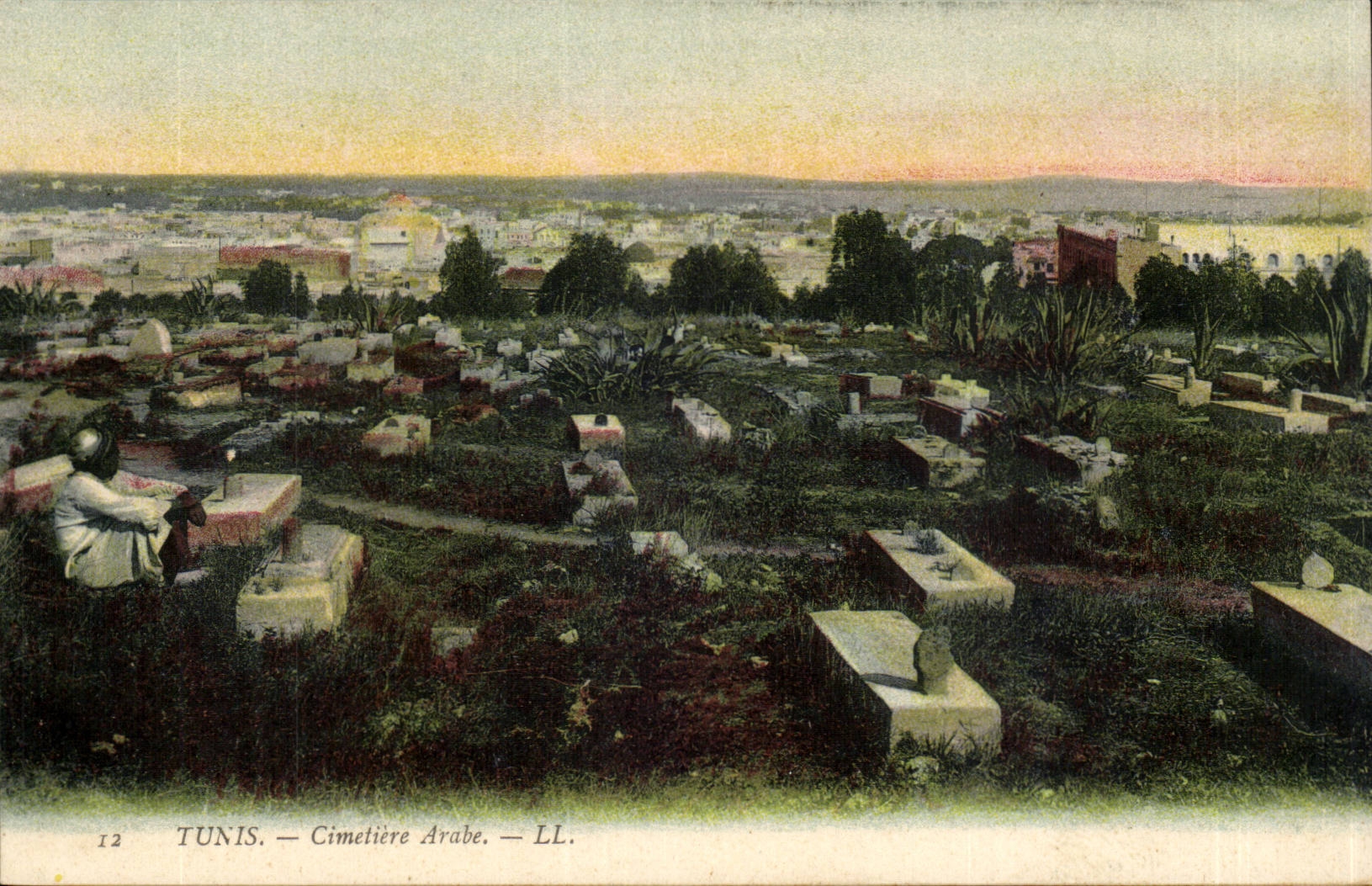 Tunisia Tunis CPA the Arab cemetery