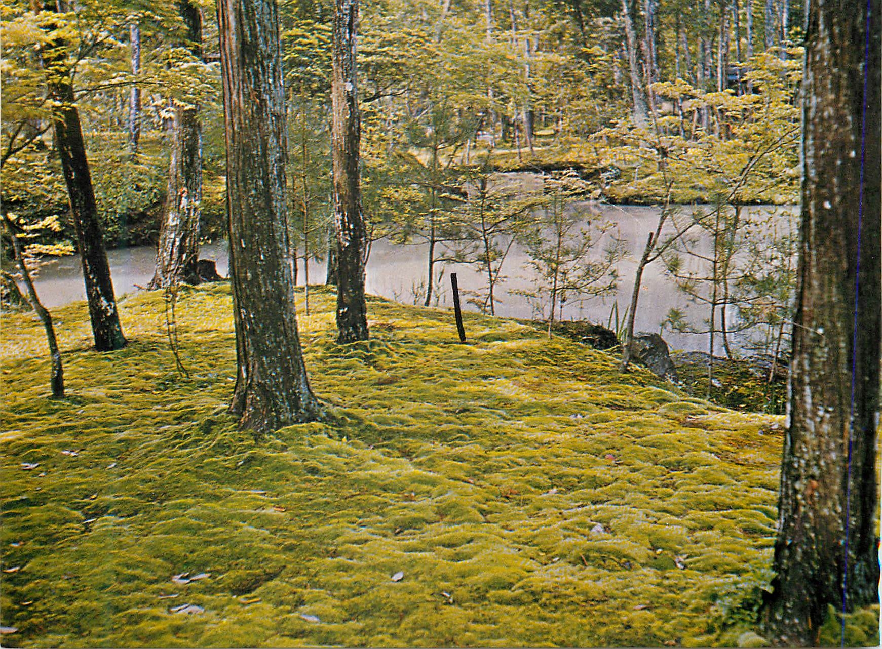 CPM Mass Garden of Saihoji Temple Kyoto