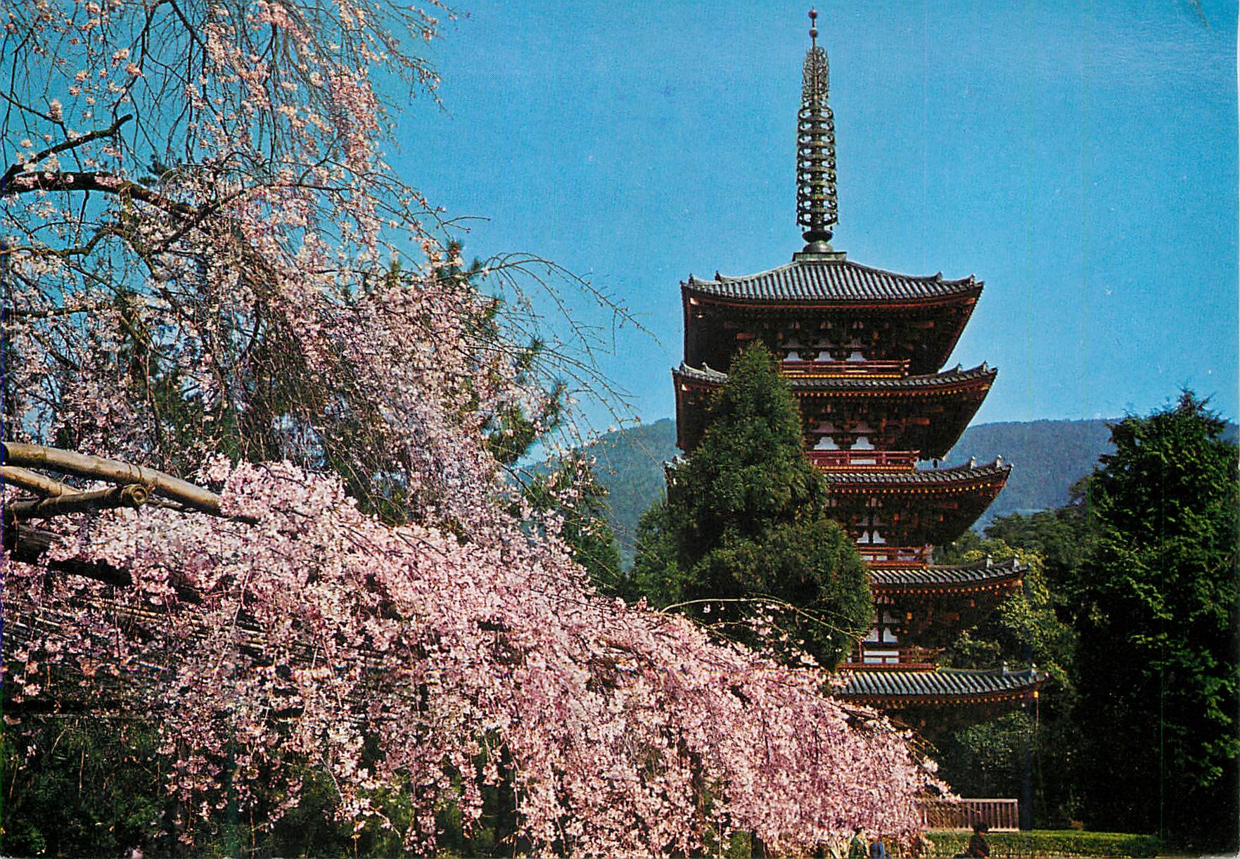 CPM Dagon Temple Kyoto