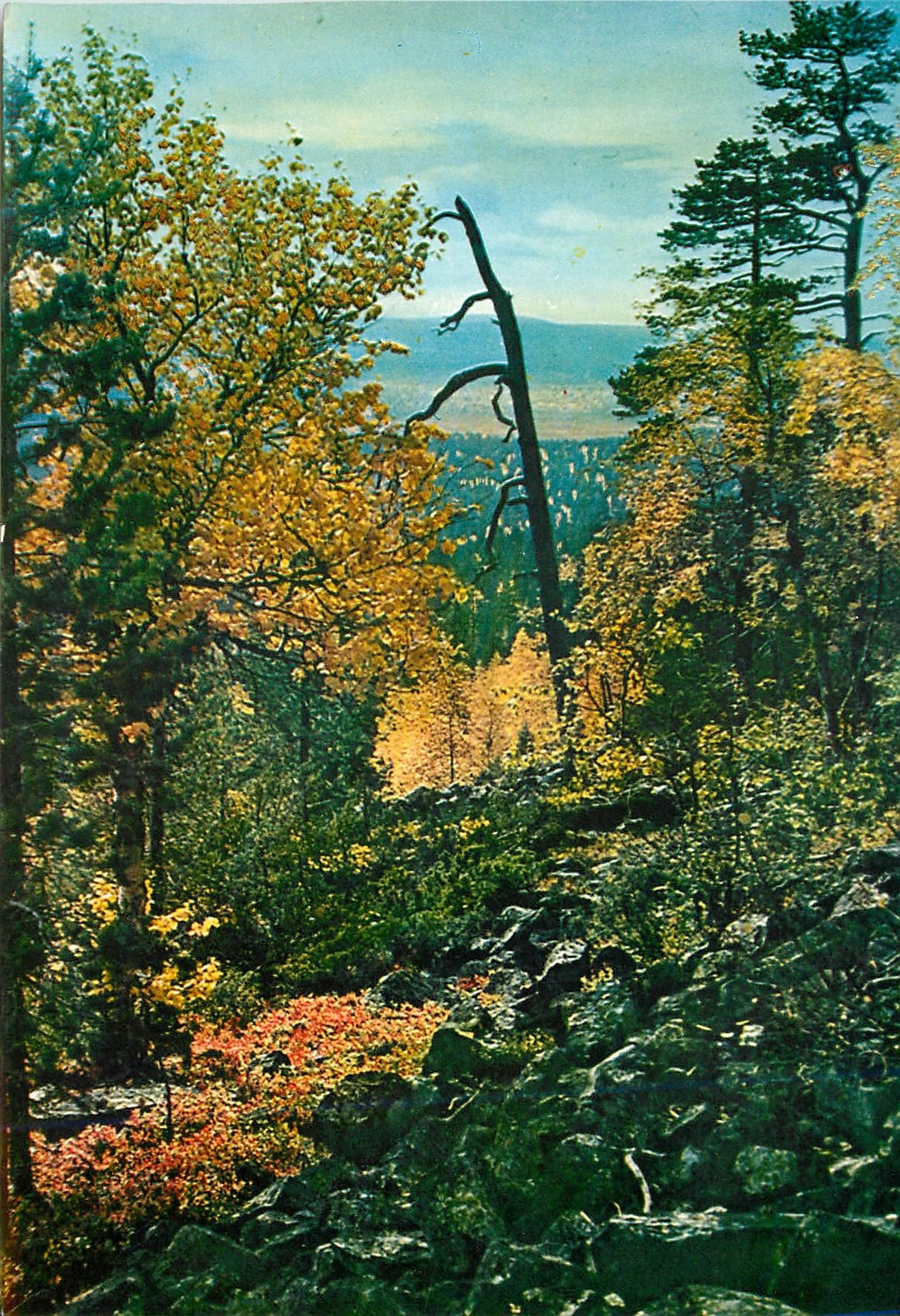 CPM Finnish Lapland Autumn Colours