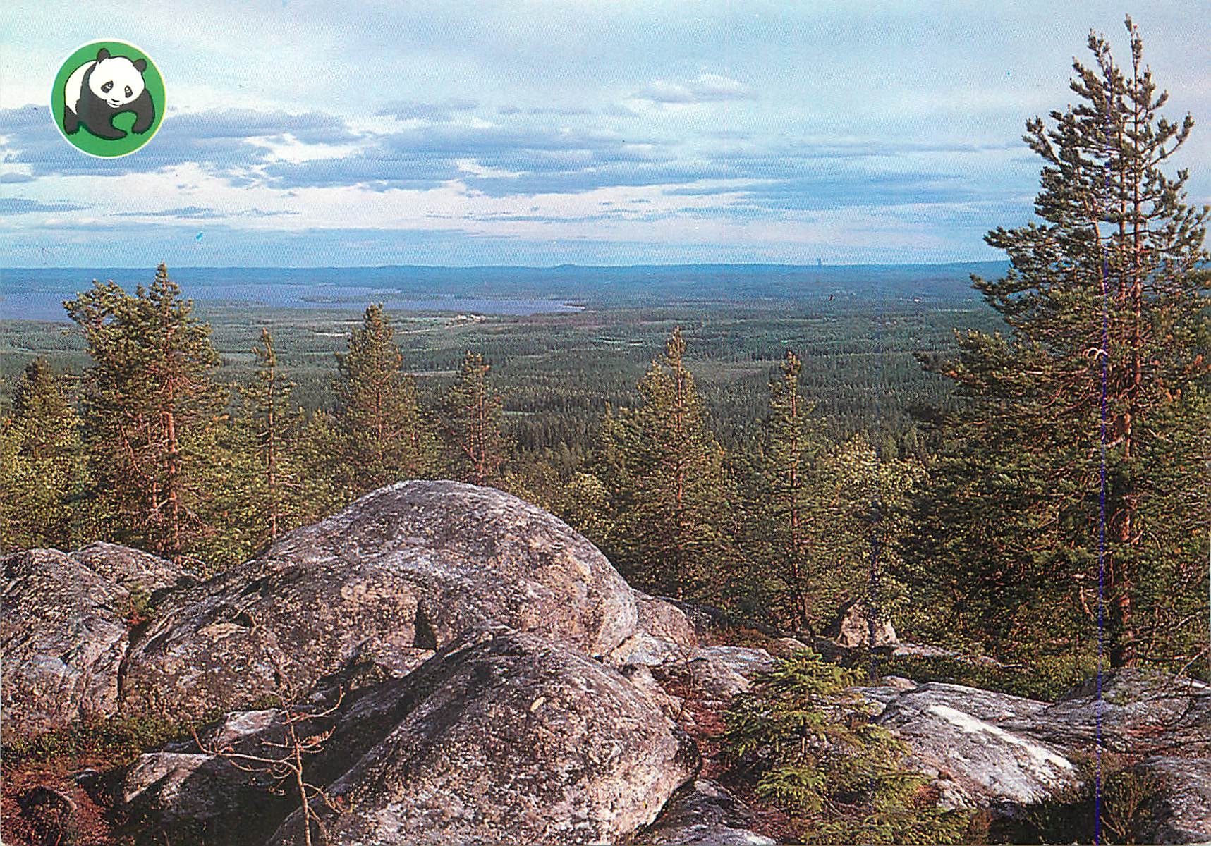 CPM Suomi Finland Vuokatti Panda WWF