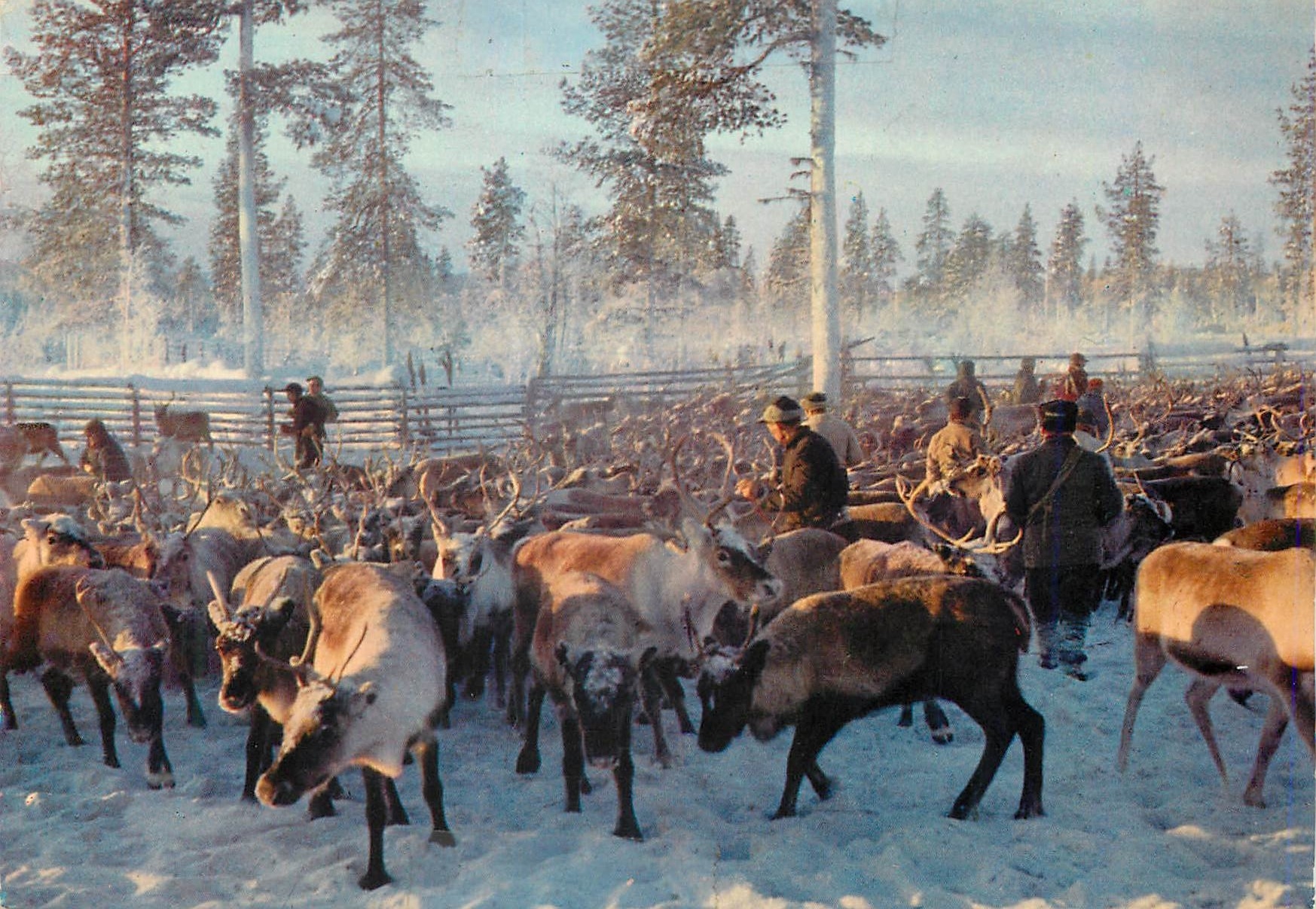 CPM Parojen Lappia The Land of Reindeers