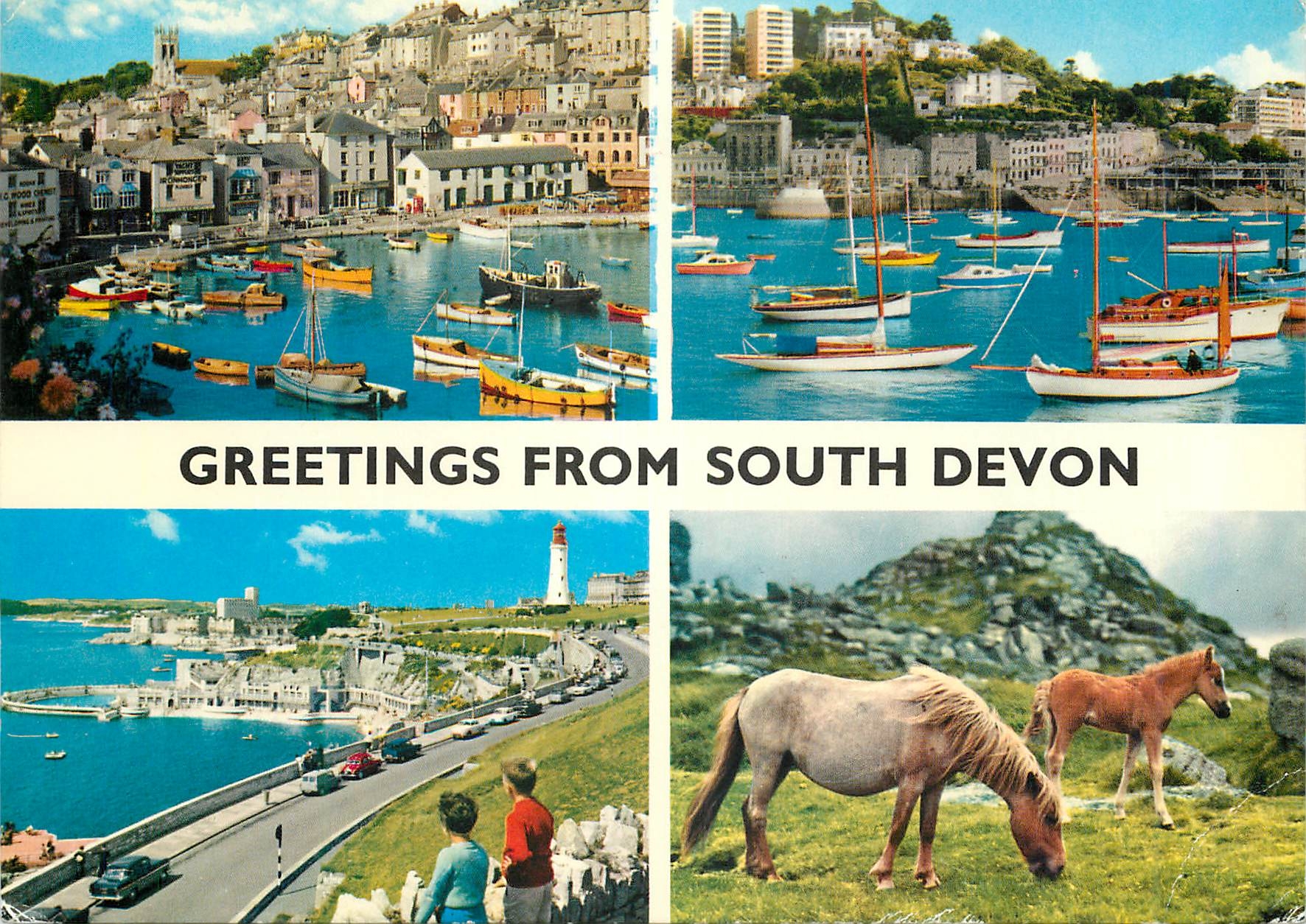 CPM Greetings From South Devon