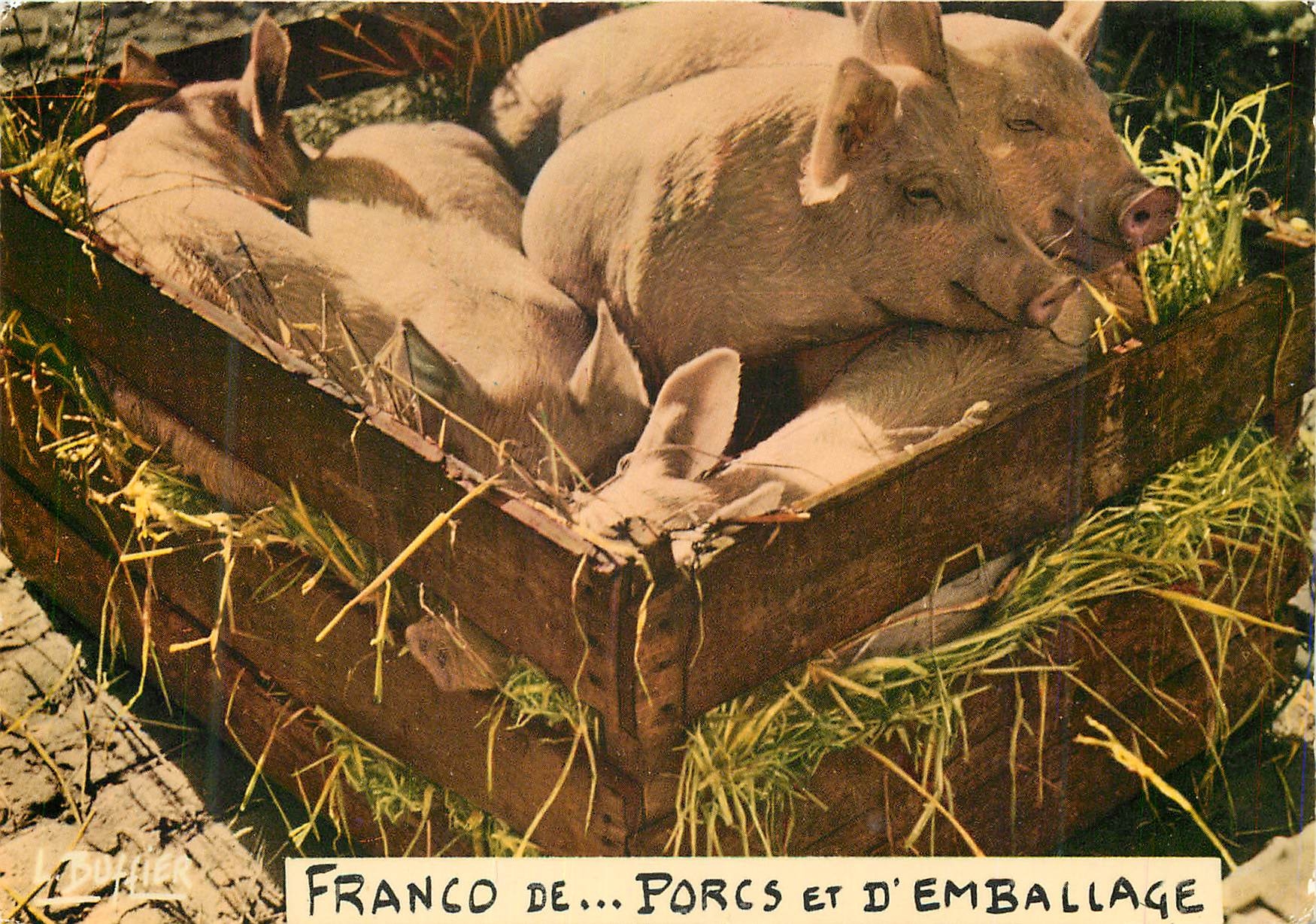 CPM Franco de porcs et d'emballage Cochon Porc