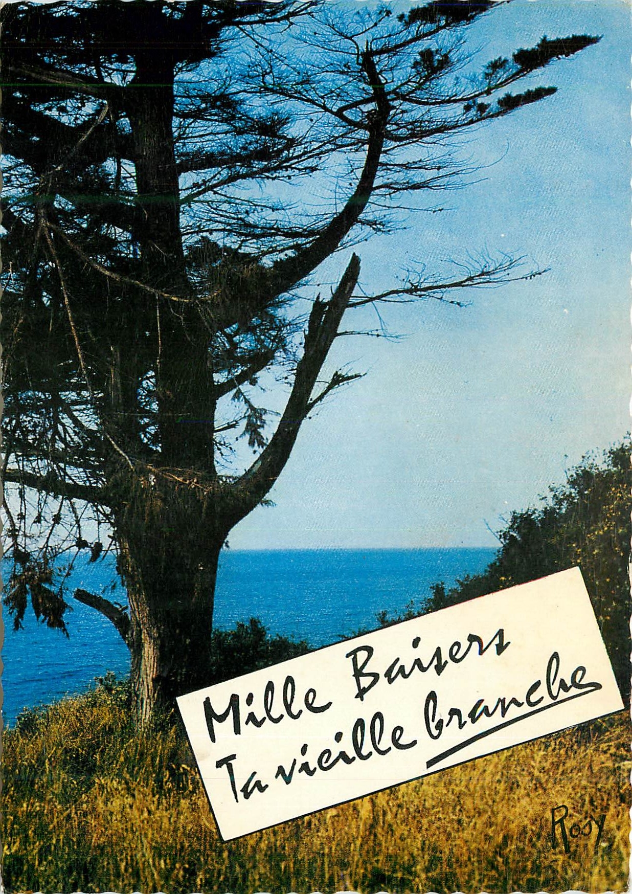 CPM Mille baisers ta vieille branche